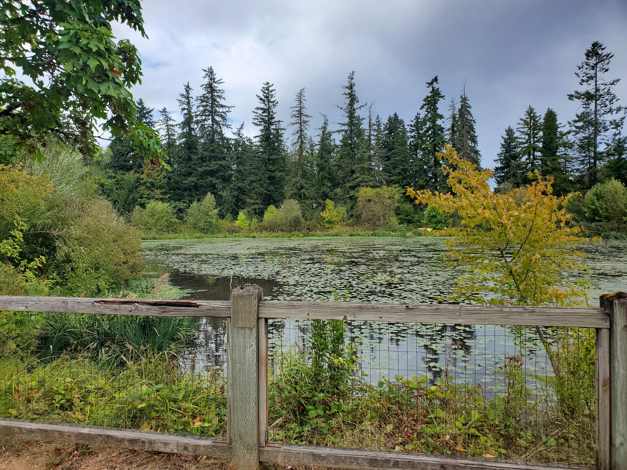 Brown Natural Crup Campground