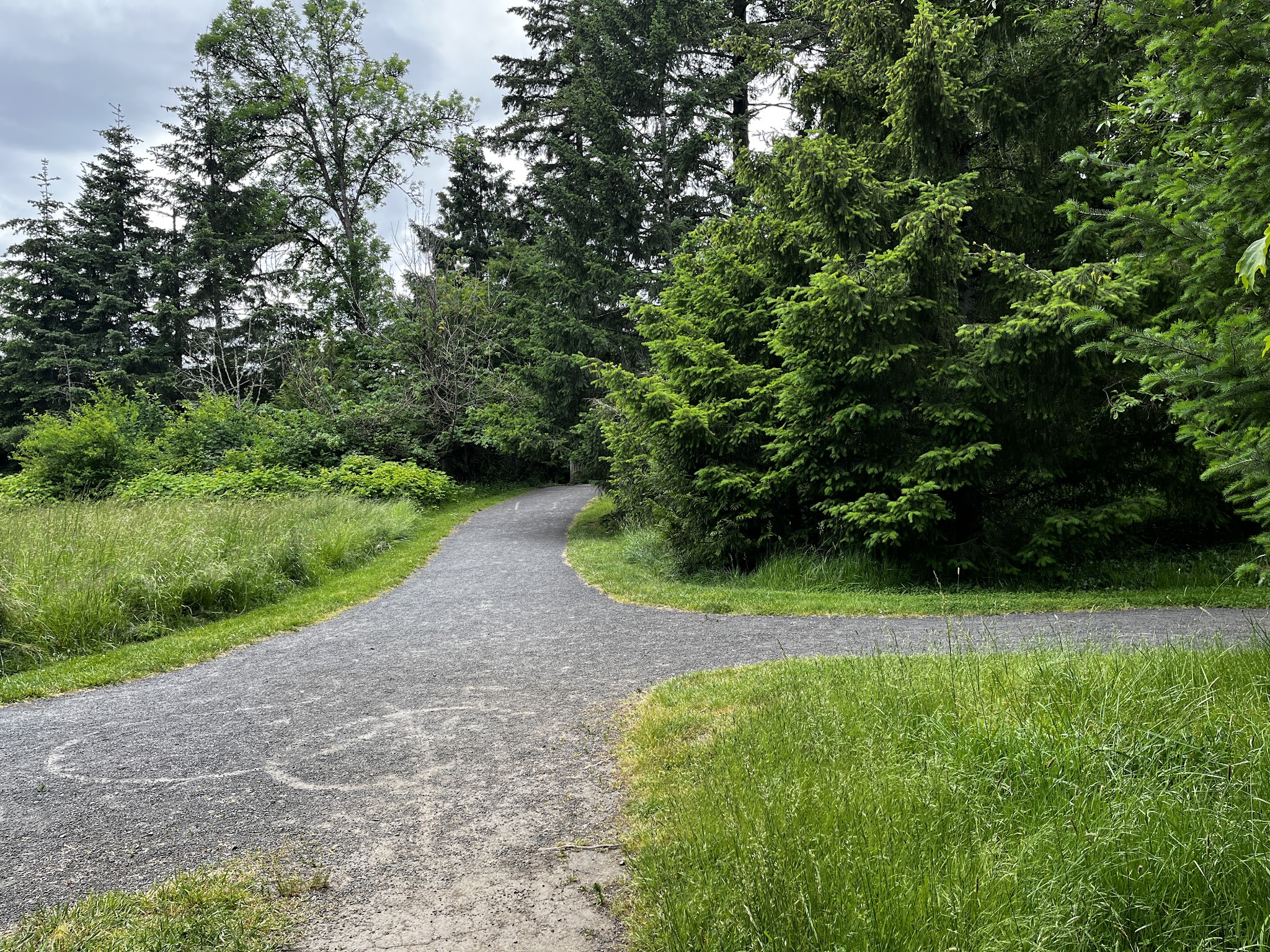 Brown Natural Crup Campground