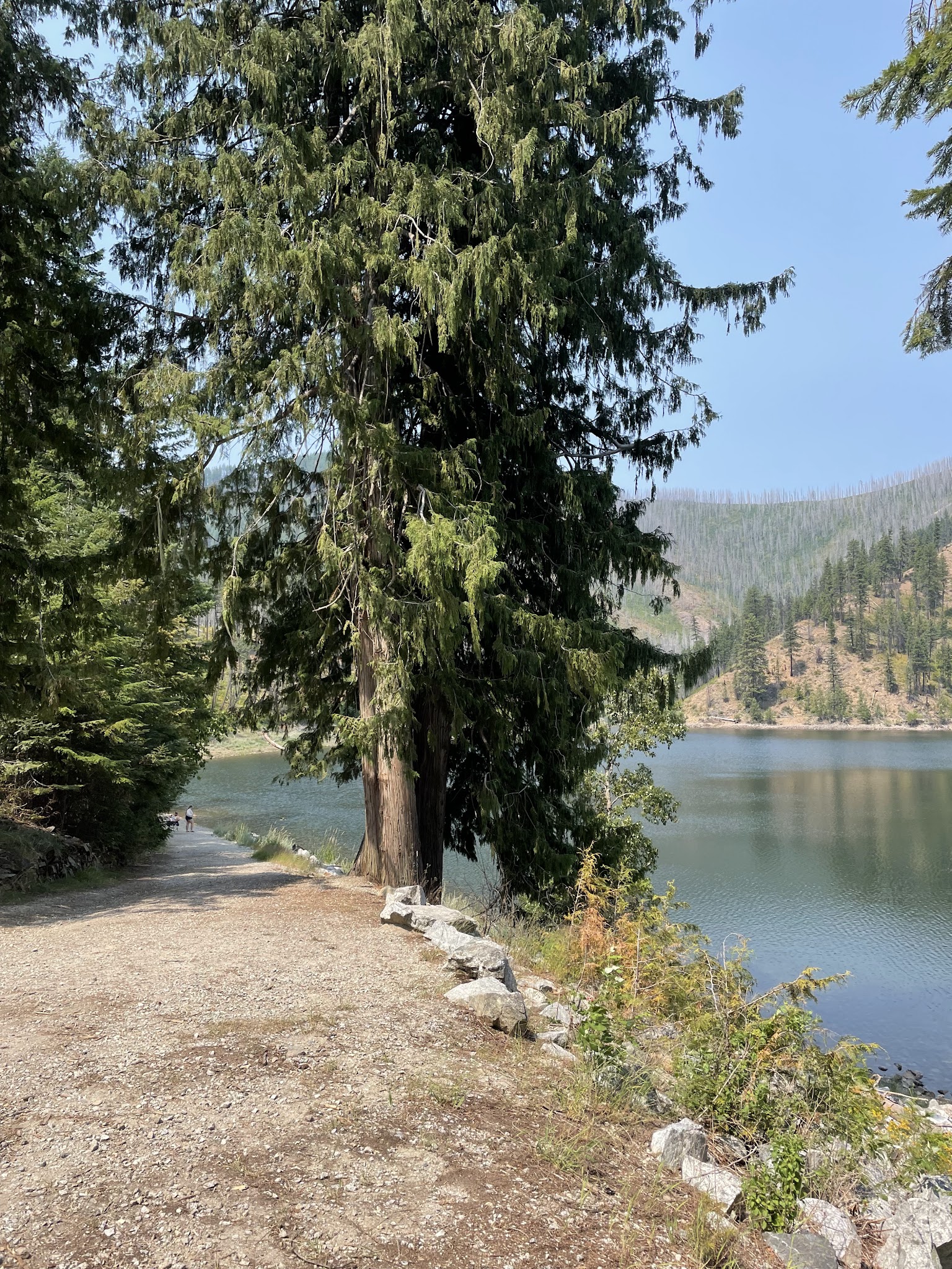 Browns Lake Campground