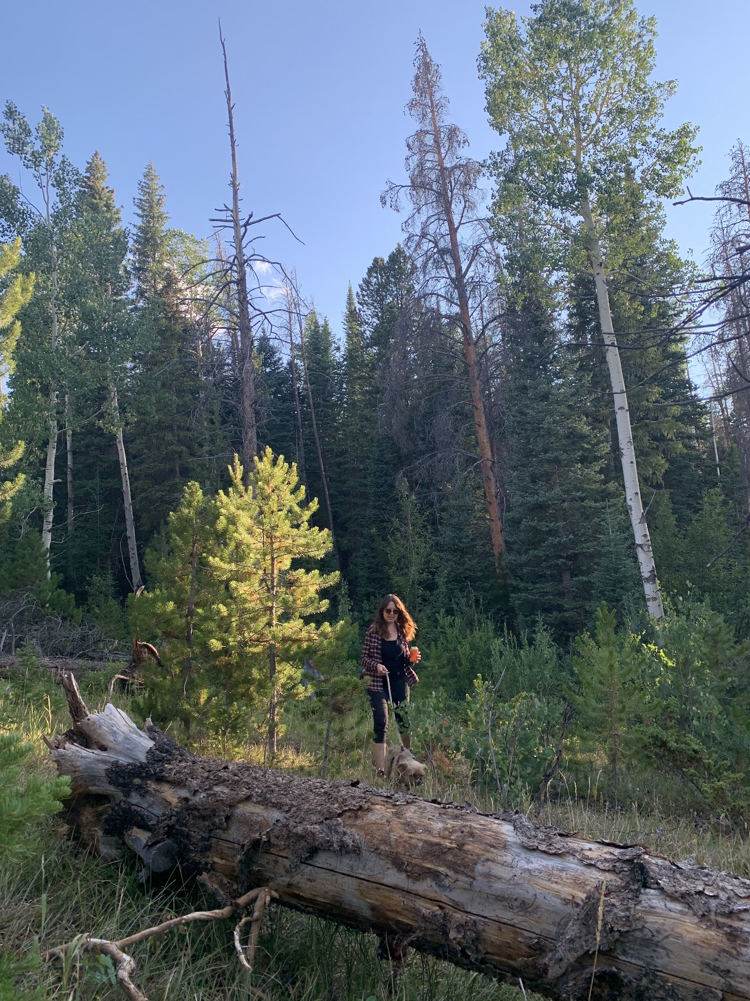 Browns Park Campground