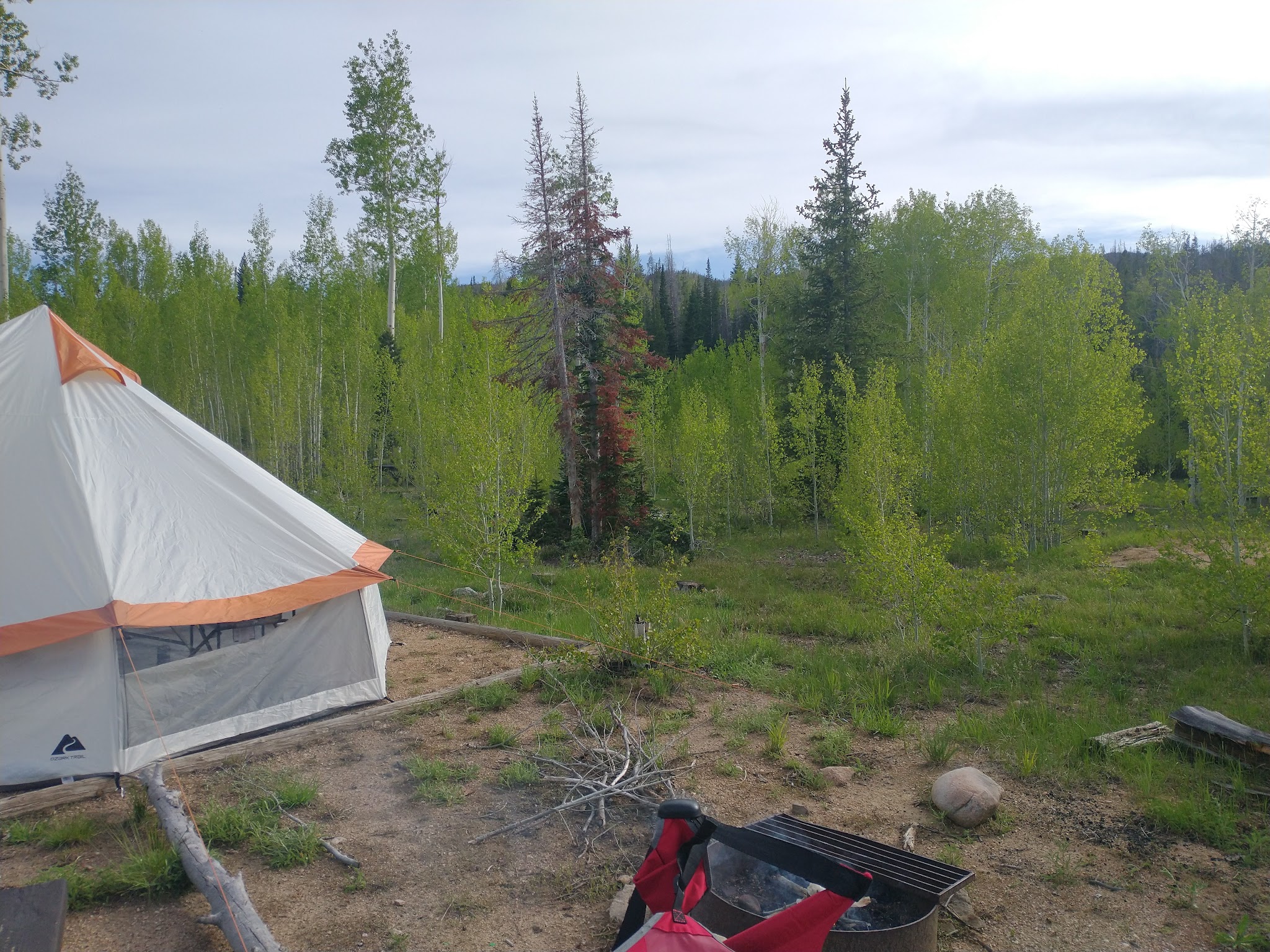 Browns Park Campground