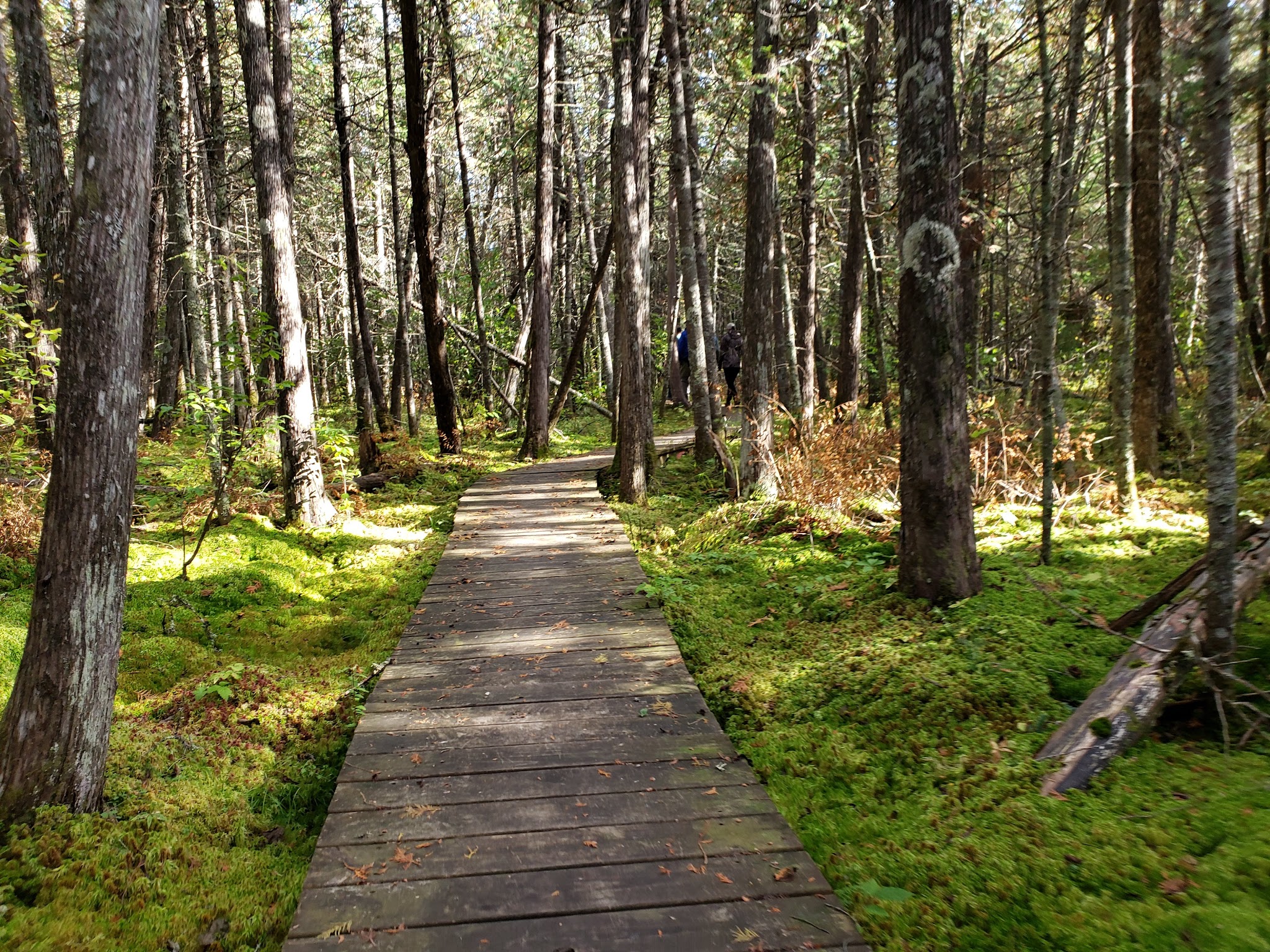 Brule River State Forest
