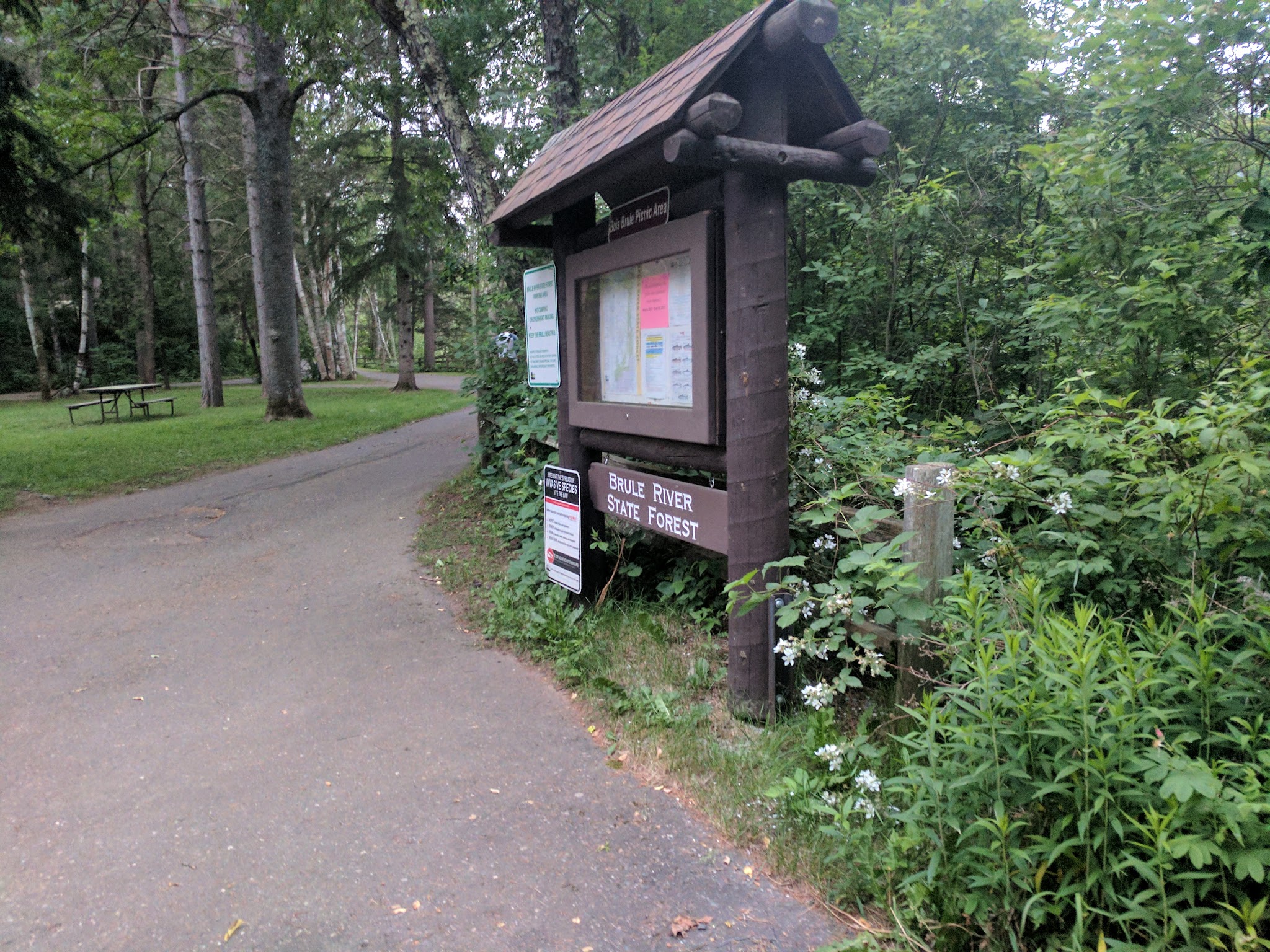 Brule River State Forest