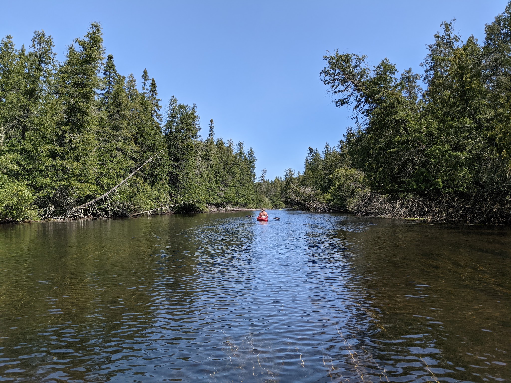 Brule River State Forest