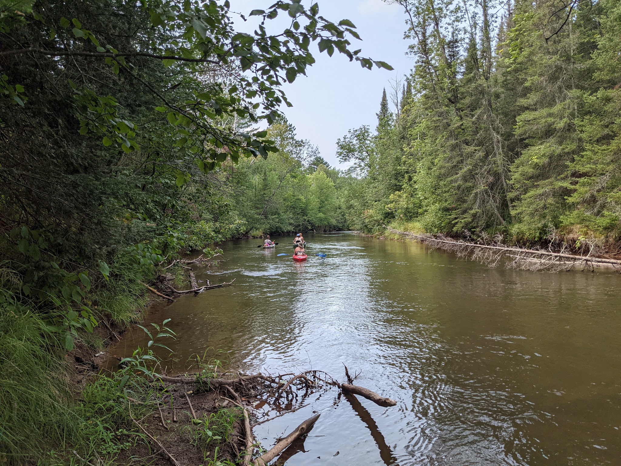 Brule River State Forest