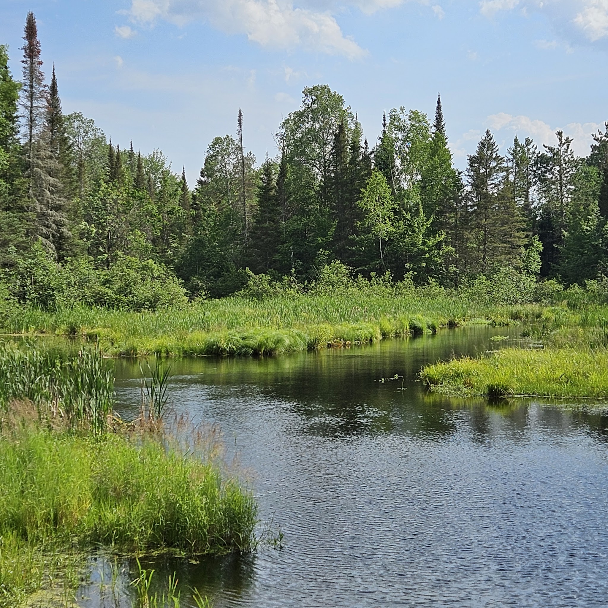 Brule River State Forest