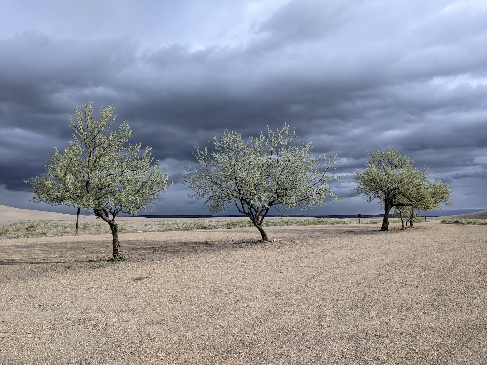 Bruneau Dunes State Park