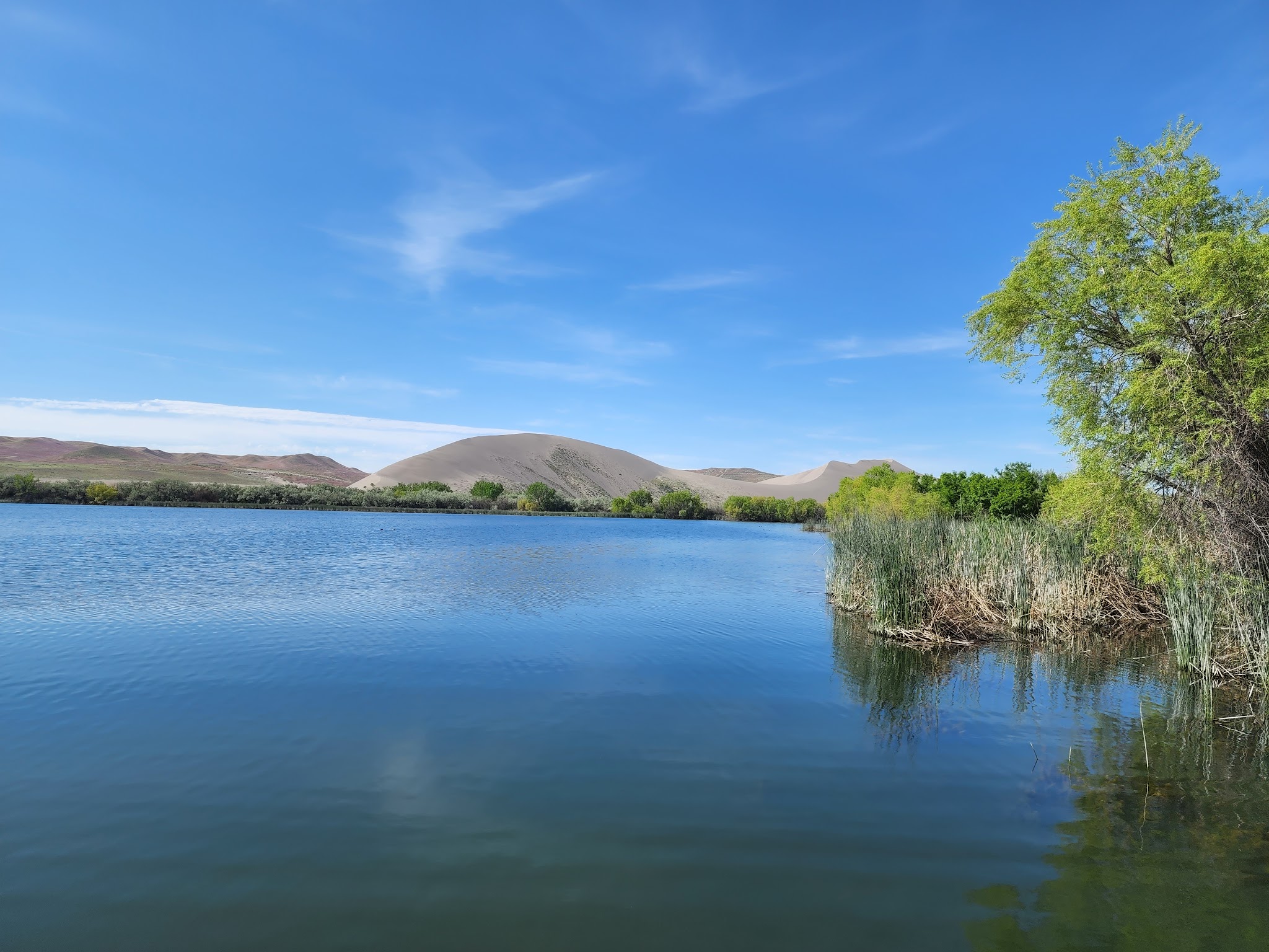 Bruneau Dunes State Park