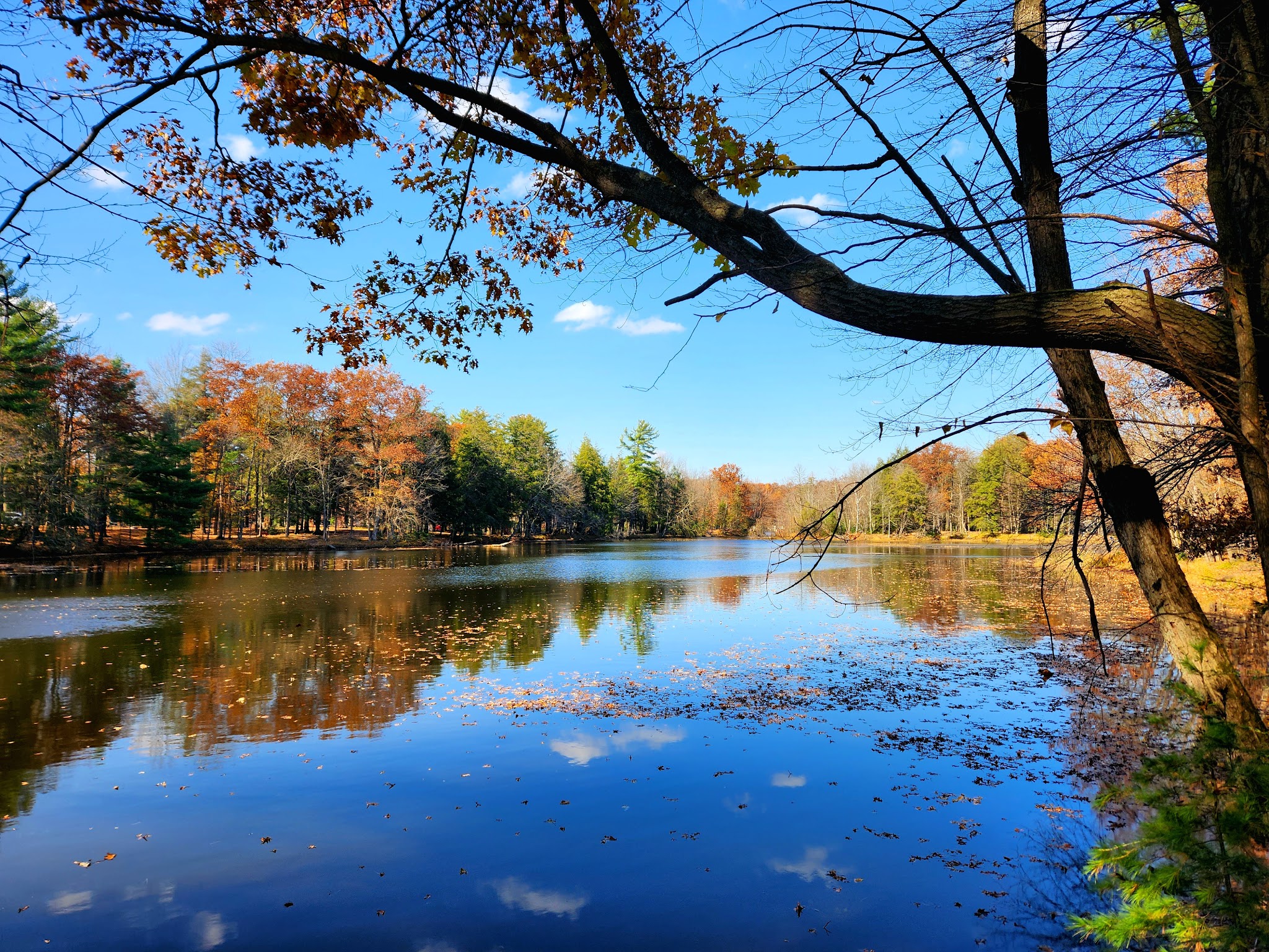 Brunet Island State Park