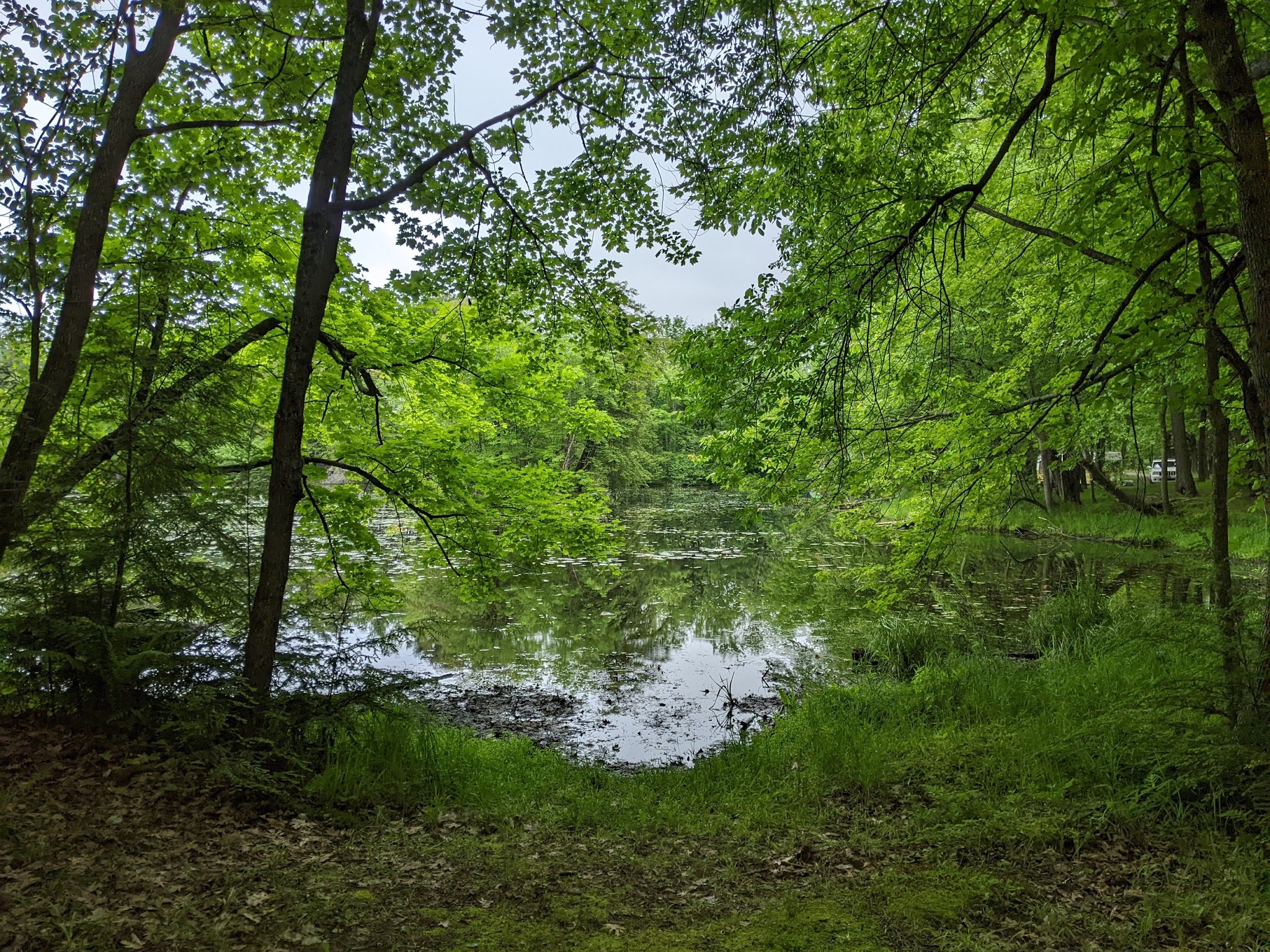 Brunet Island State Park