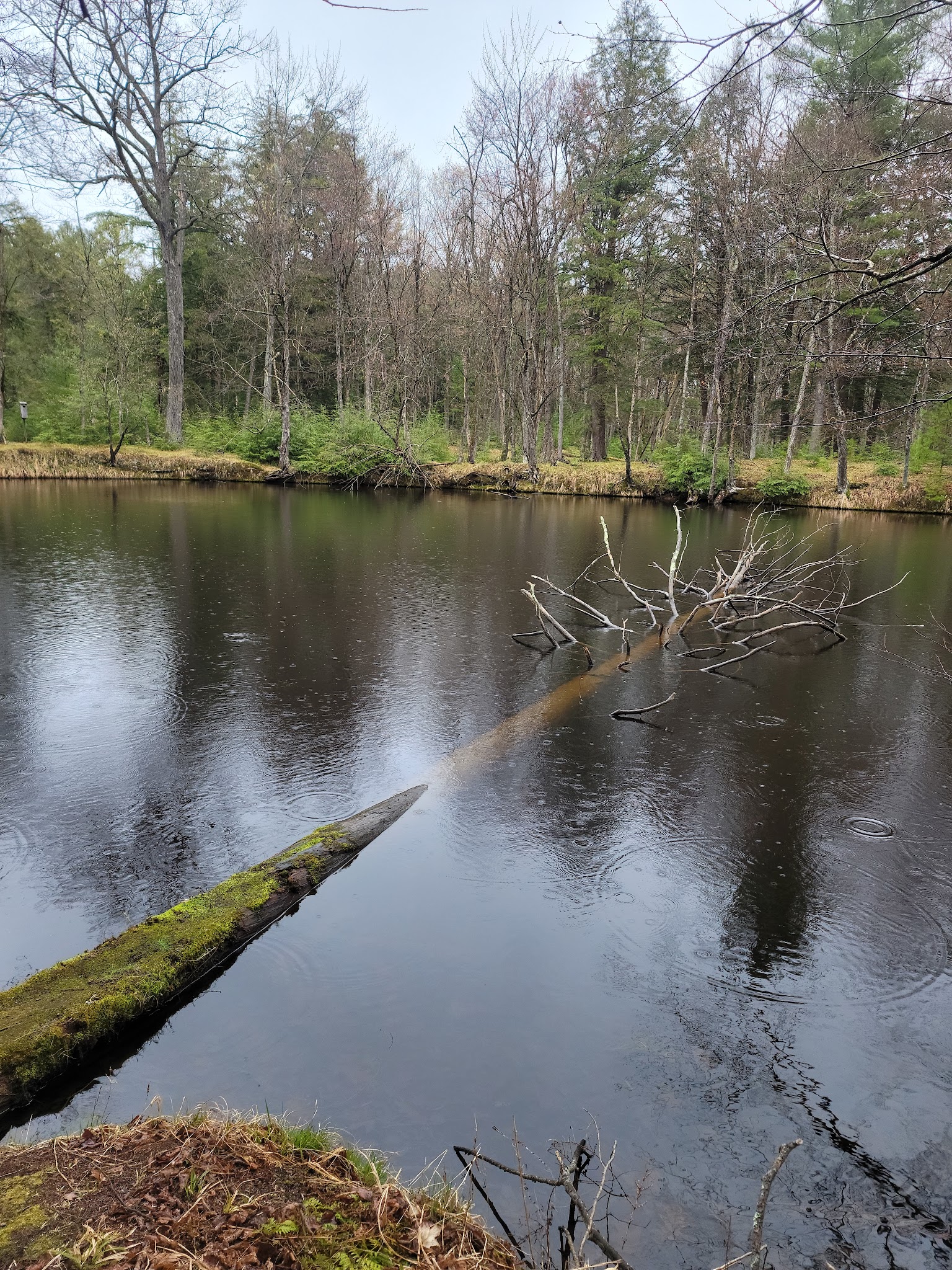 Brunet Island State Park