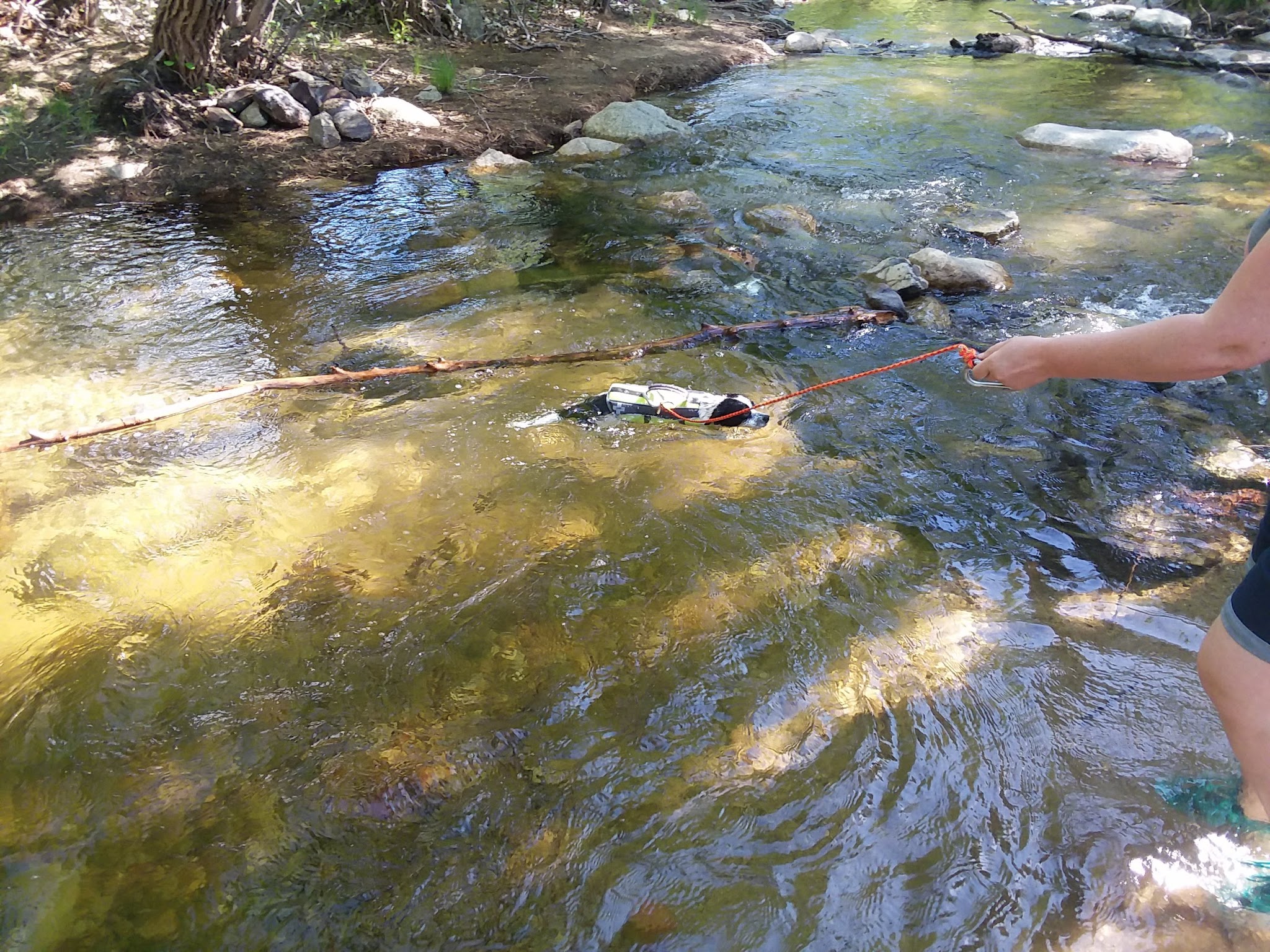 Brush Creek Dispersed Camping