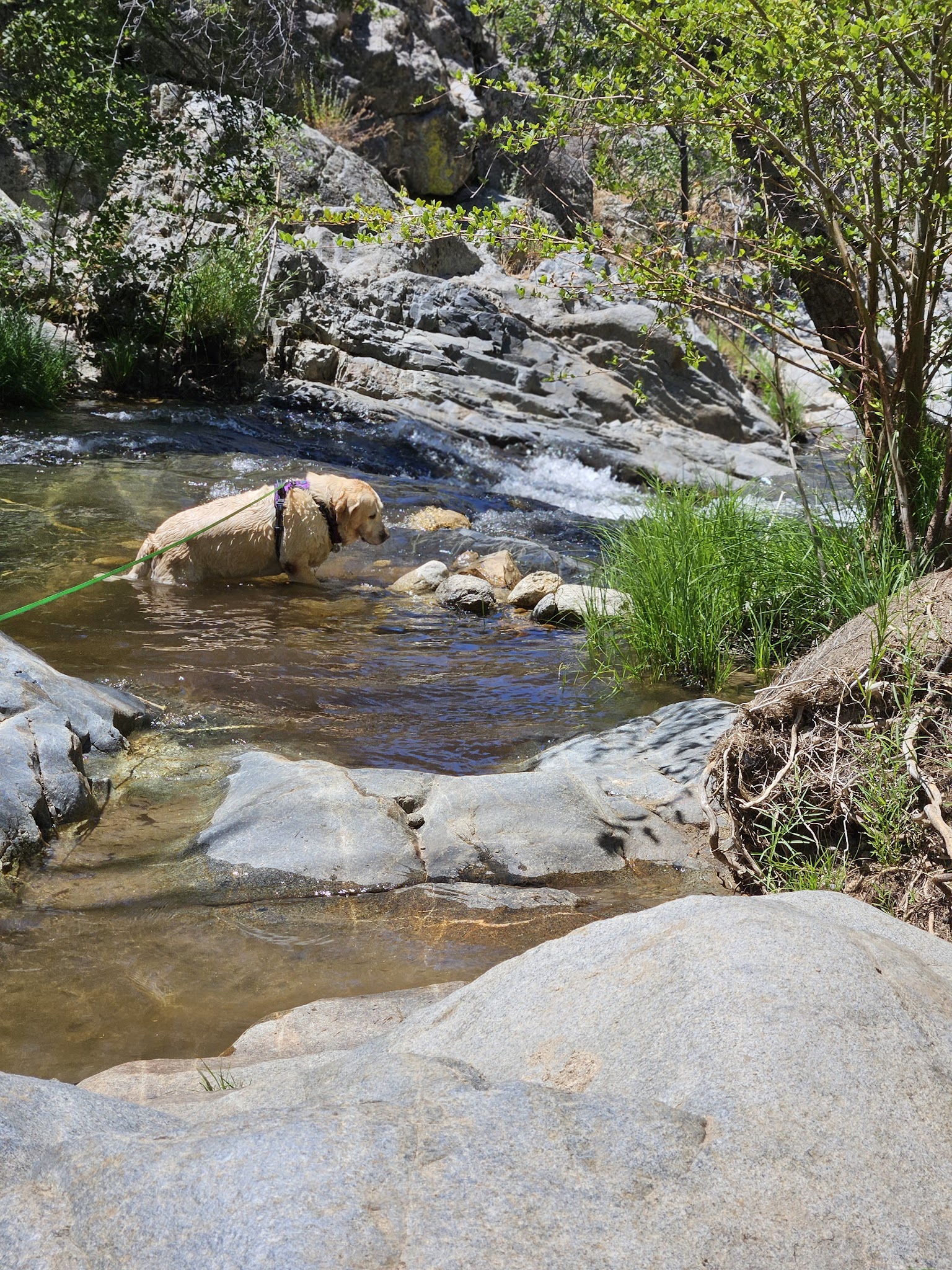 Brush Creek Dispersed Camping