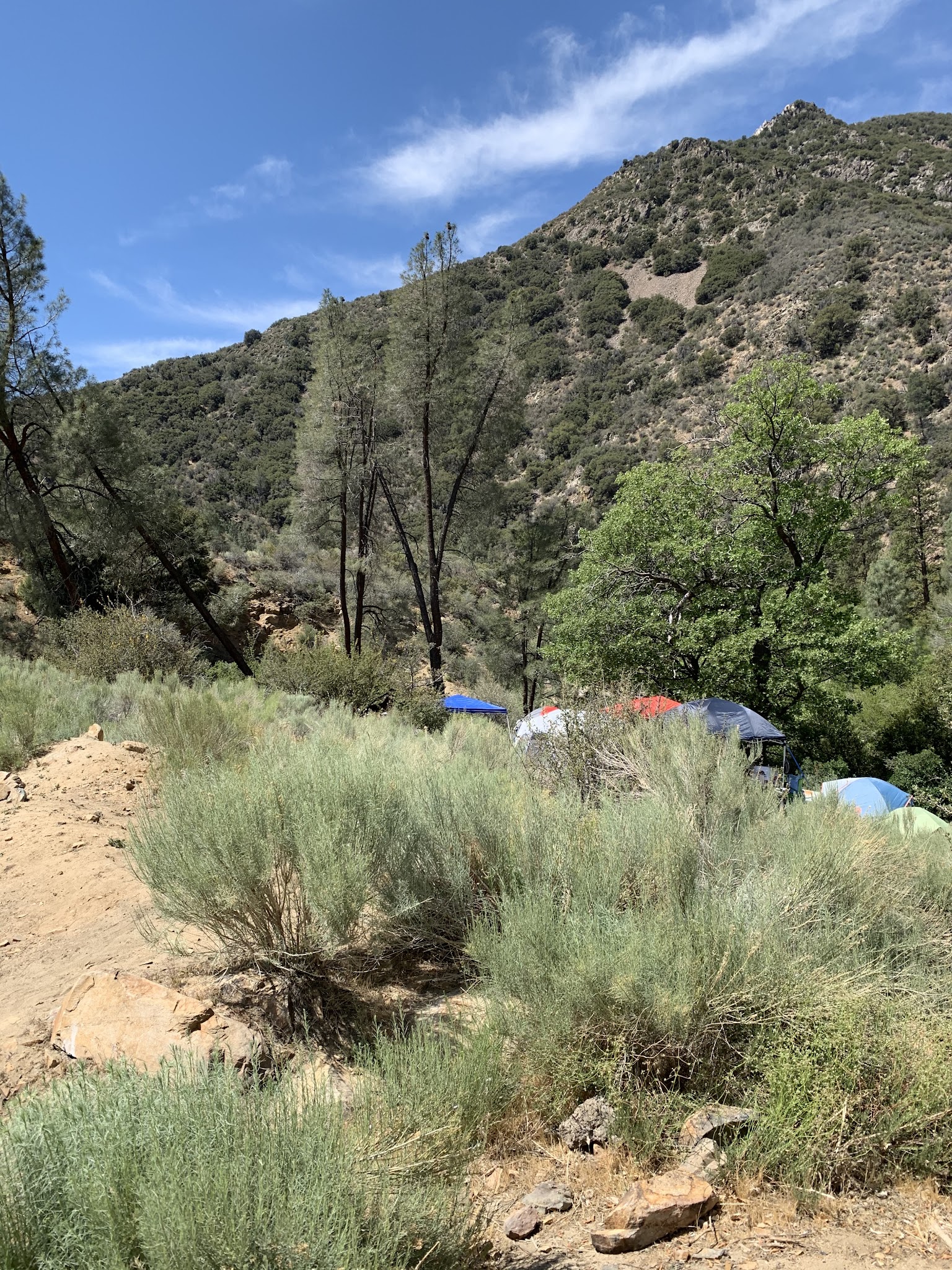 Brush Creek Dispersed Camping