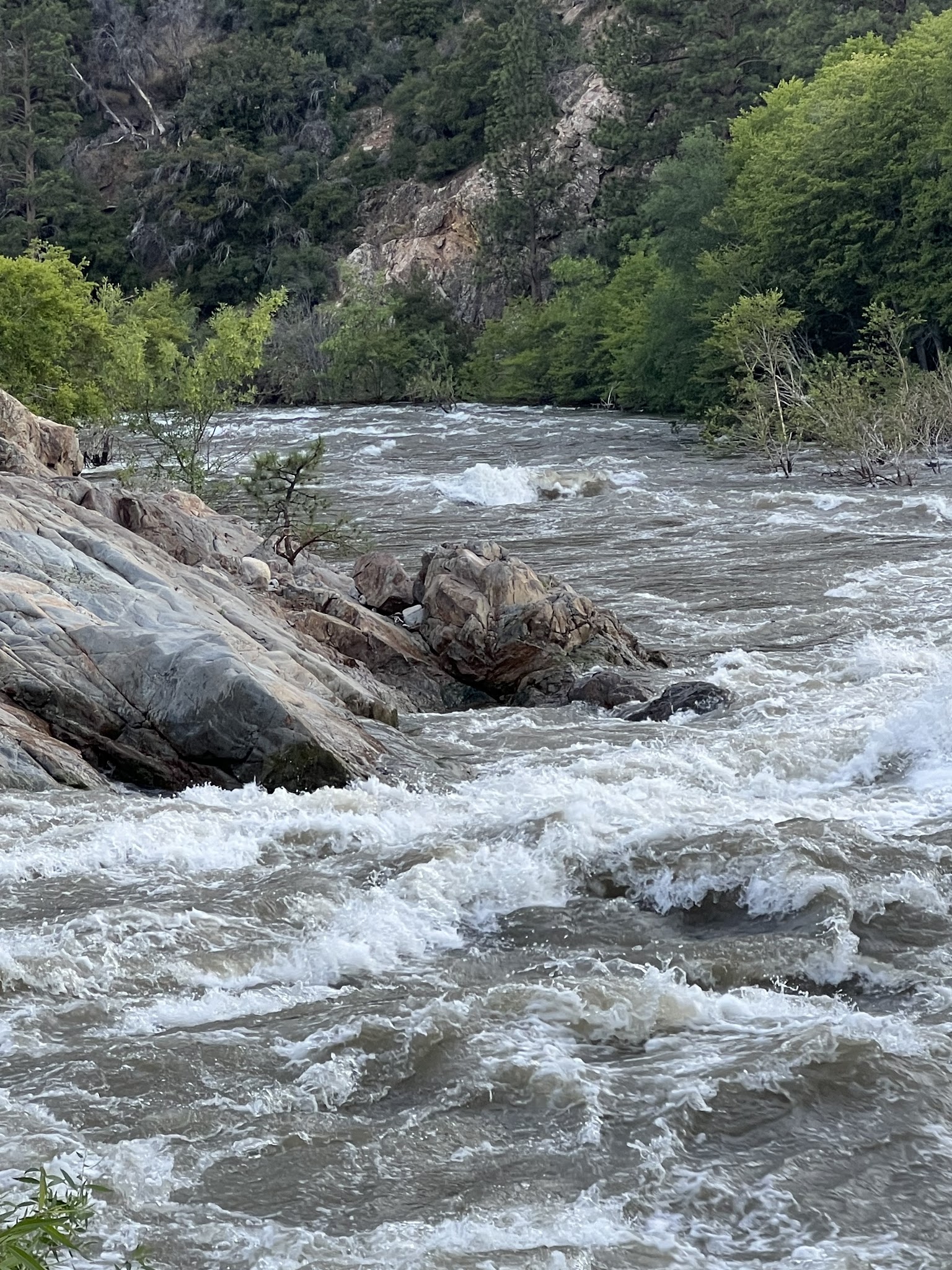 Brush Creek Dispersed Camping