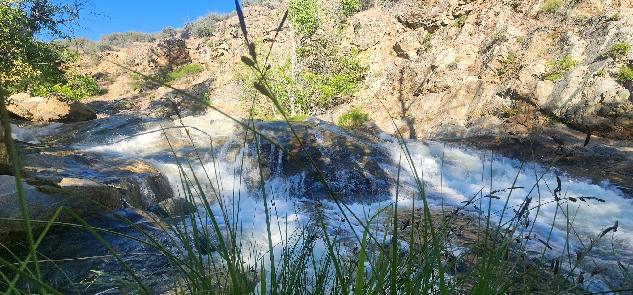 Brush Creek Dispersed Camping