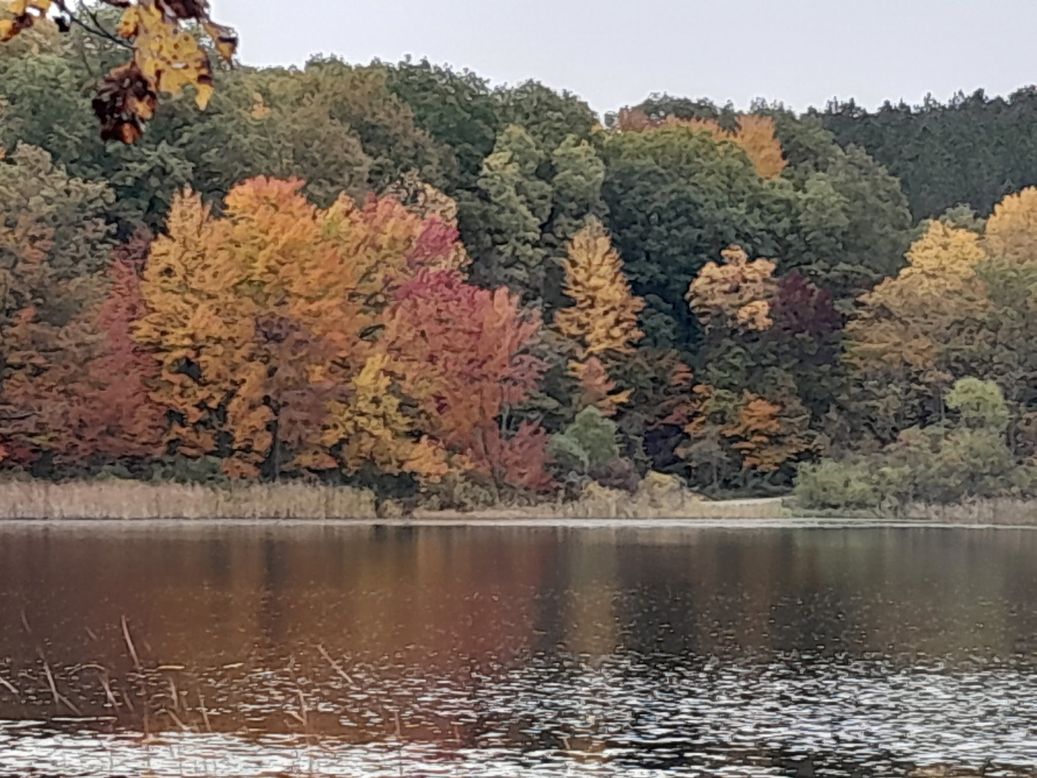 Brush Lake Campground