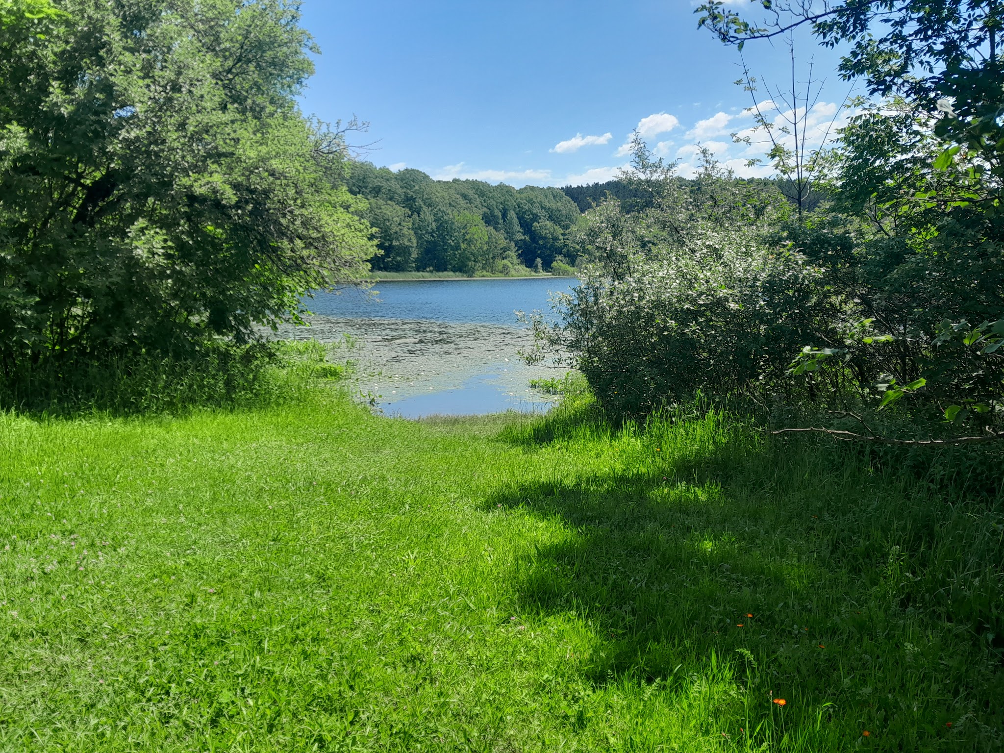 Brush Lake Campground