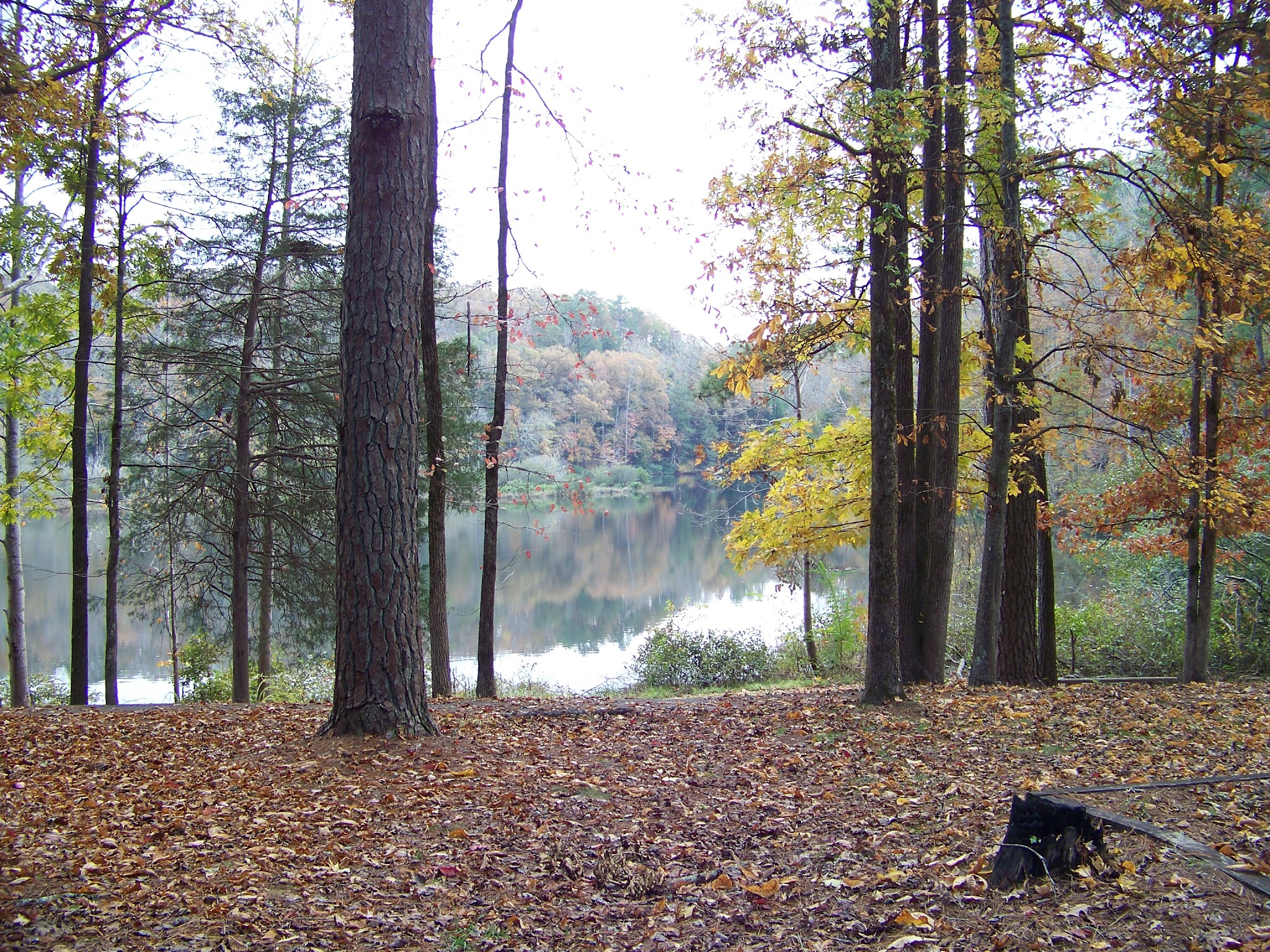 Brushy Lake Recreation Area