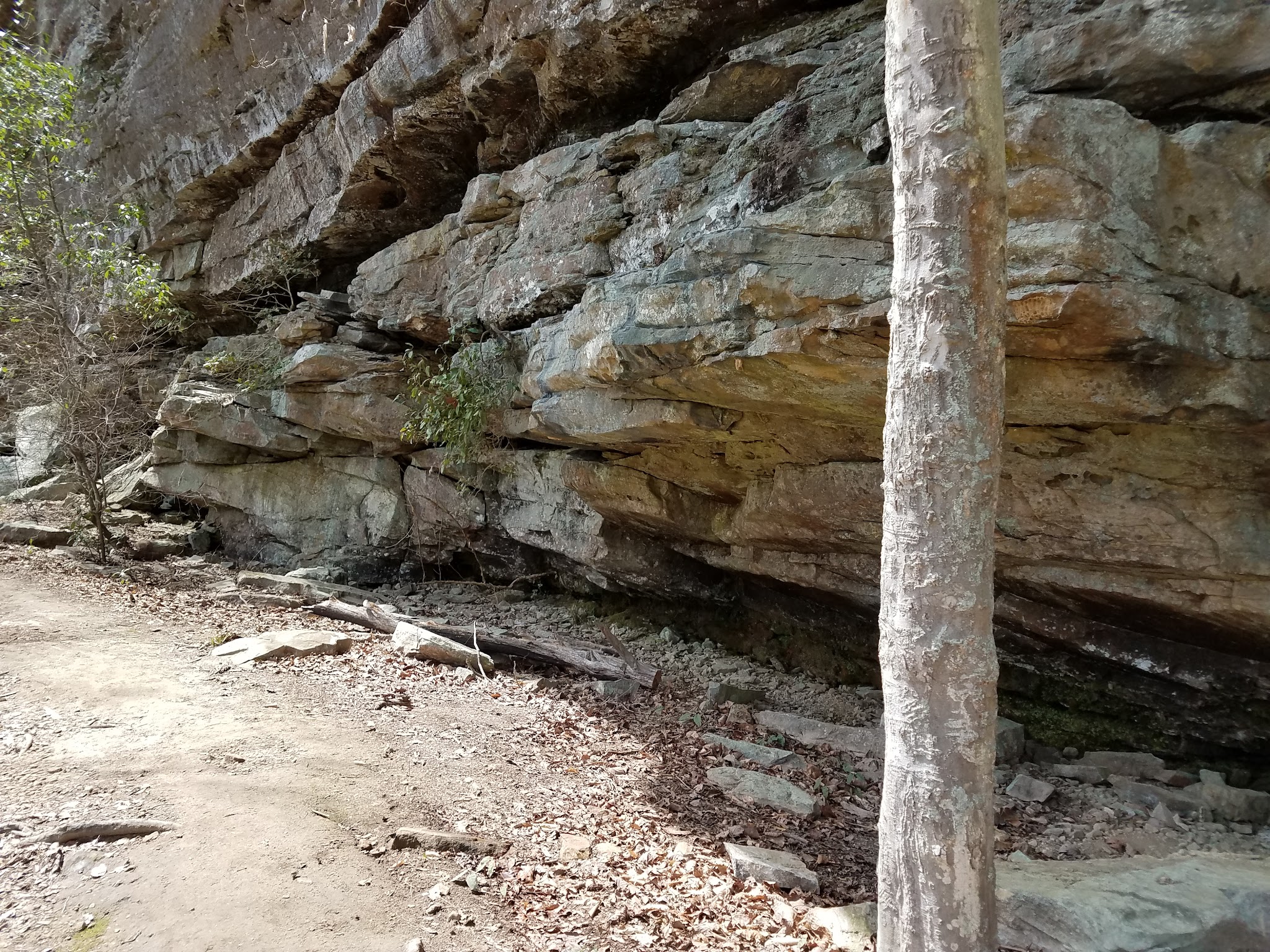 Brushy Lake Recreation Area