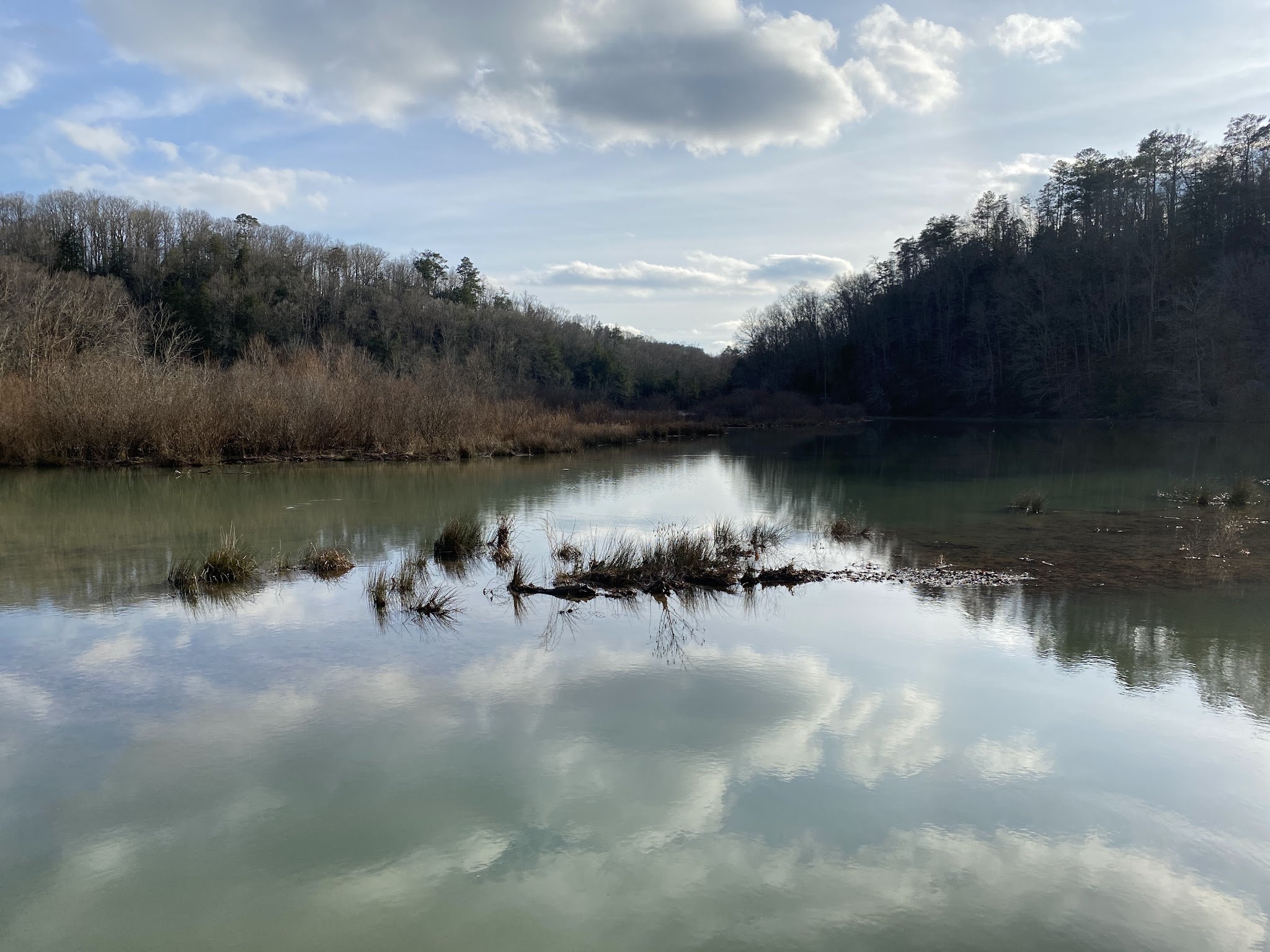 Brushy Lake Recreation Area