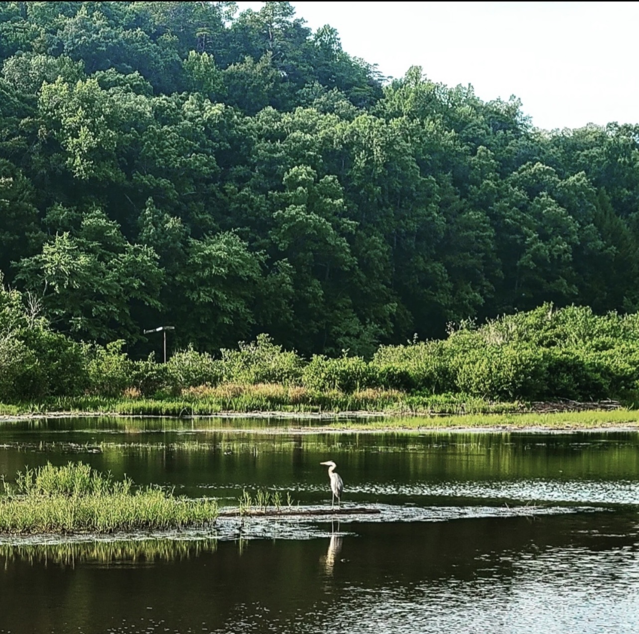 Brushy Lake Recreation Area