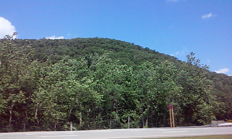 Buchanan State Forest