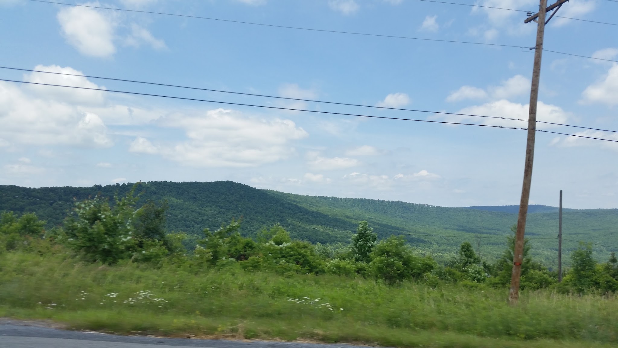 Buchanan State Forest