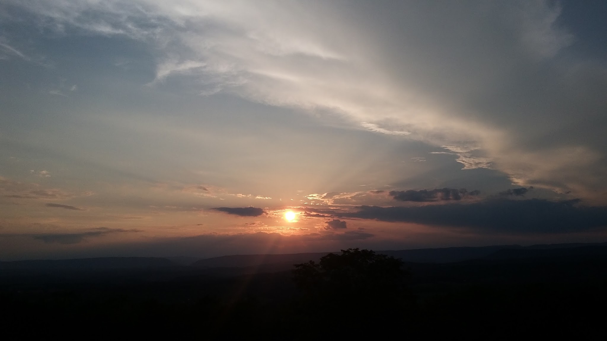 Buchanan State Forest