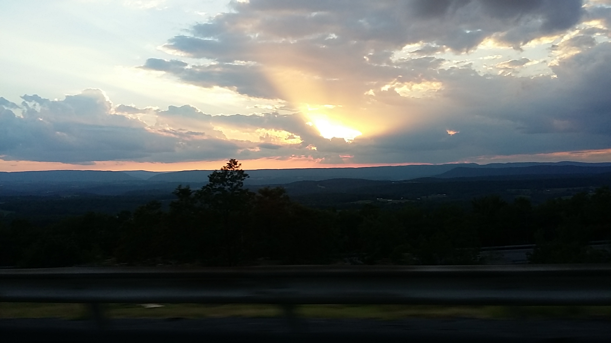 Buchanan State Forest