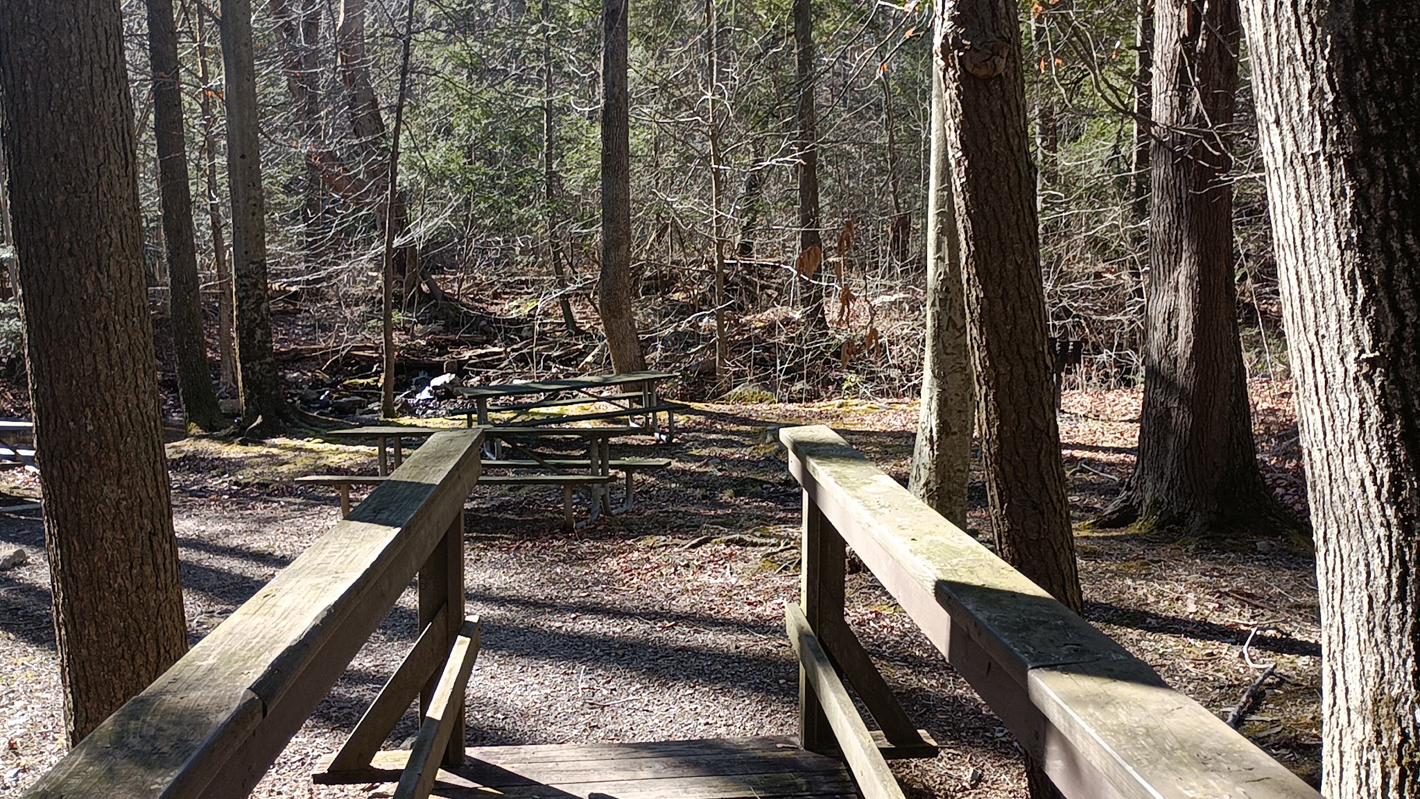 Buchanan&Apos;S Birthplace State Park