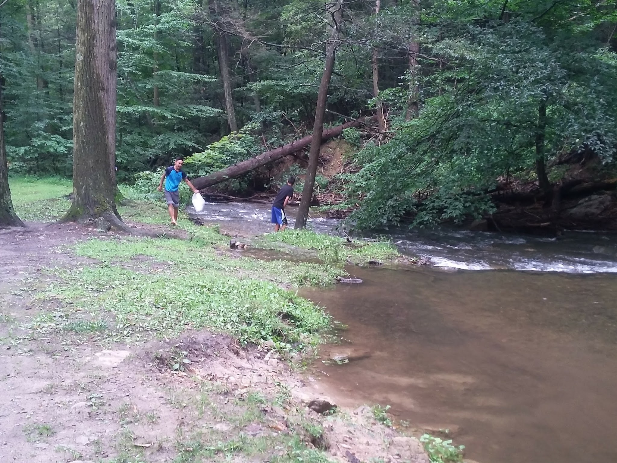 Buchanan&Apos;S Birthplace State Park