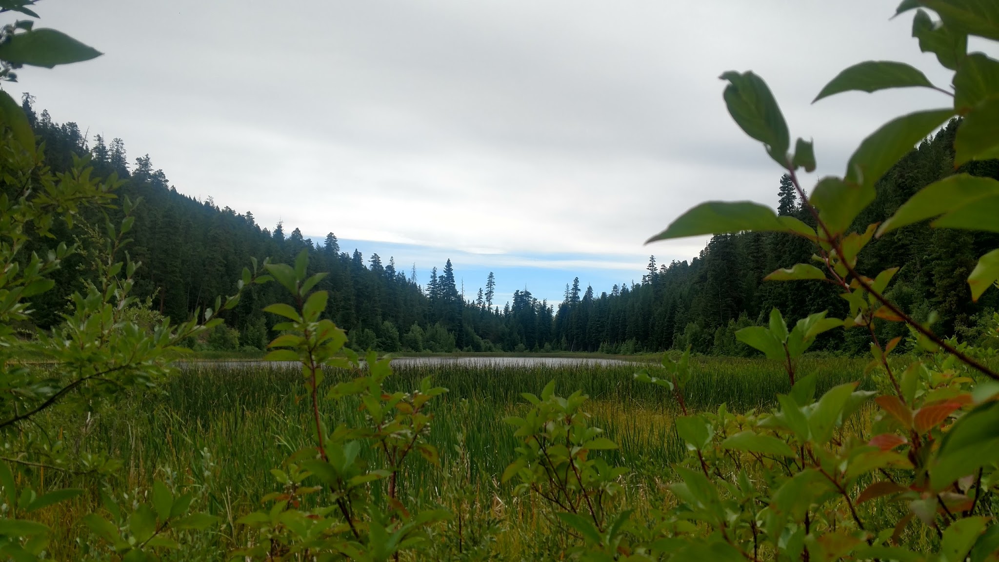 Buck Lake Campground