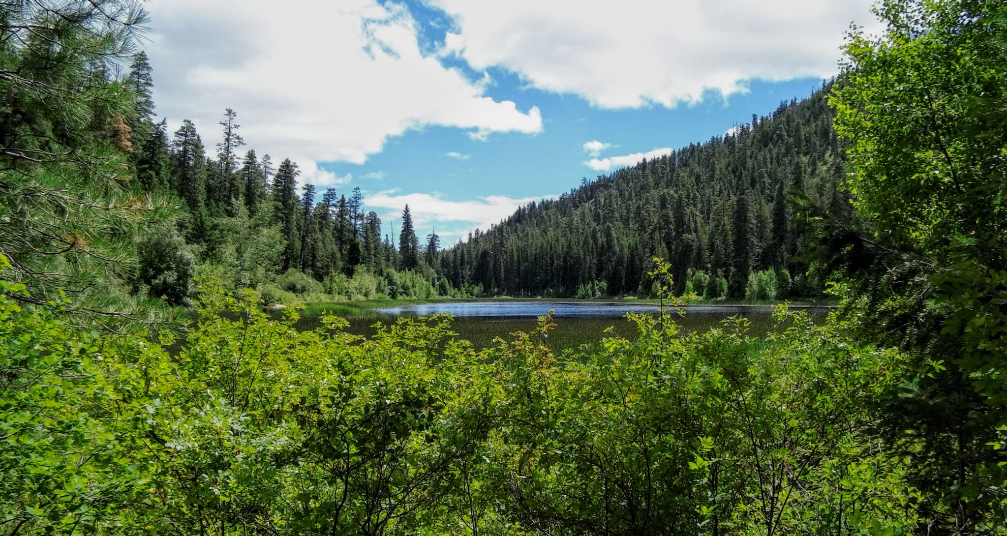 Buck Lake Campground