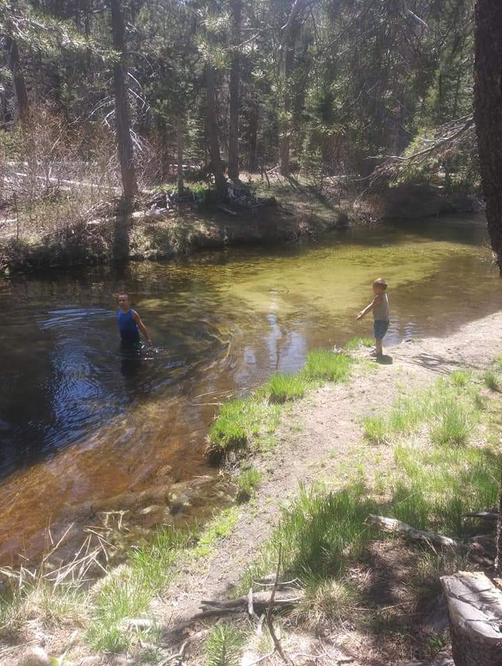 Buck Meadow Campground