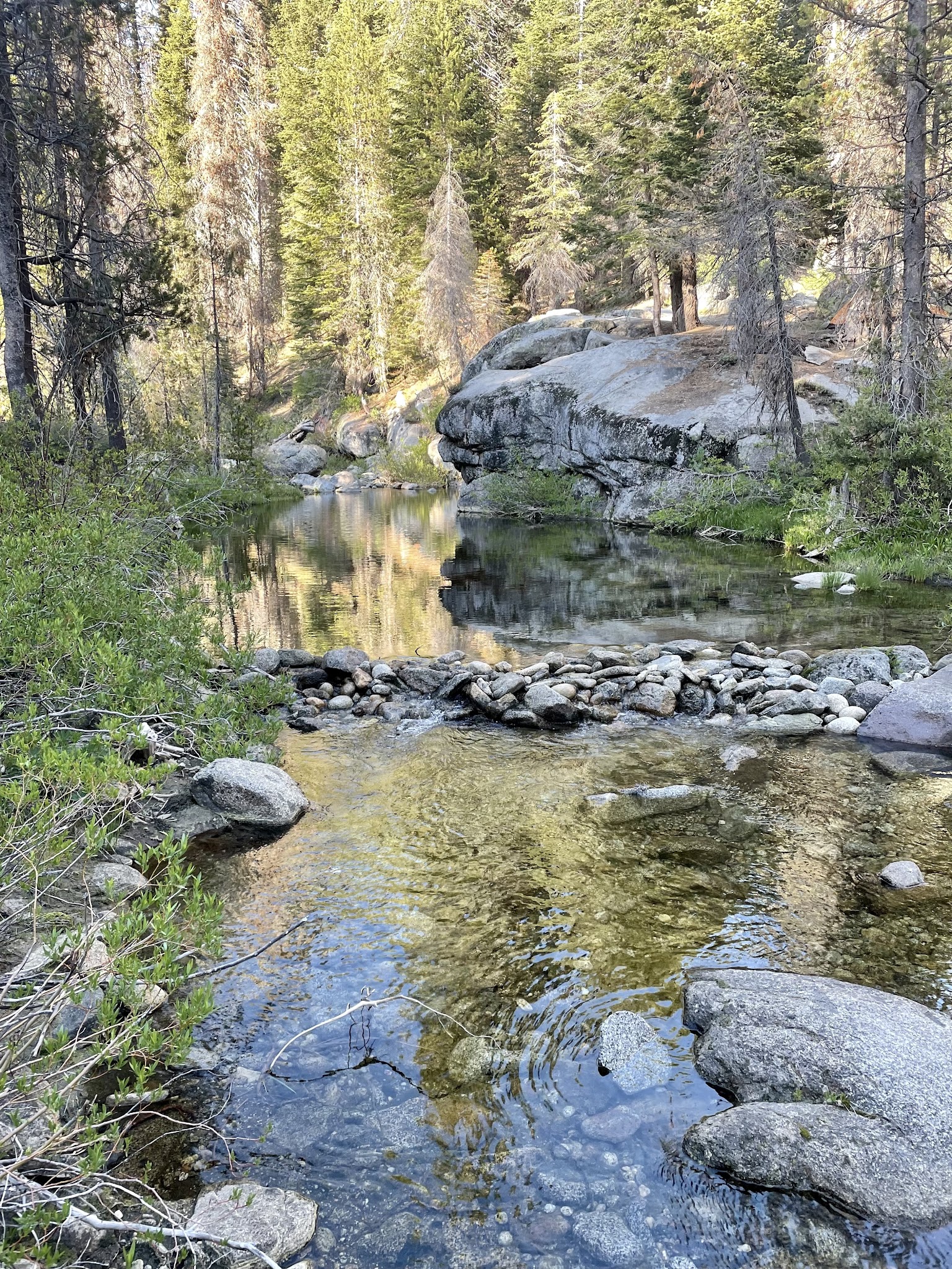 Buck Meadow Campground
