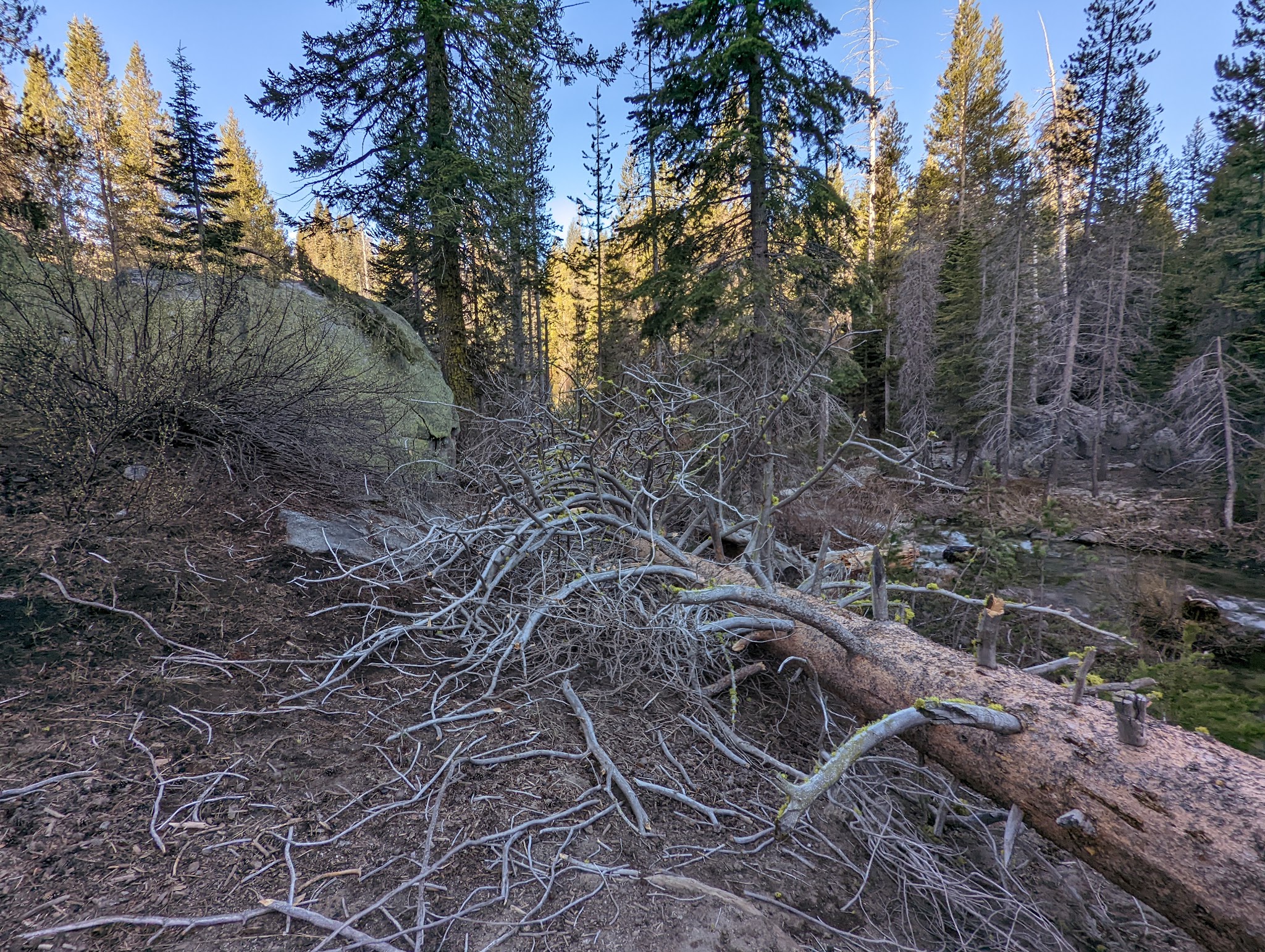 Buck Meadow Campground