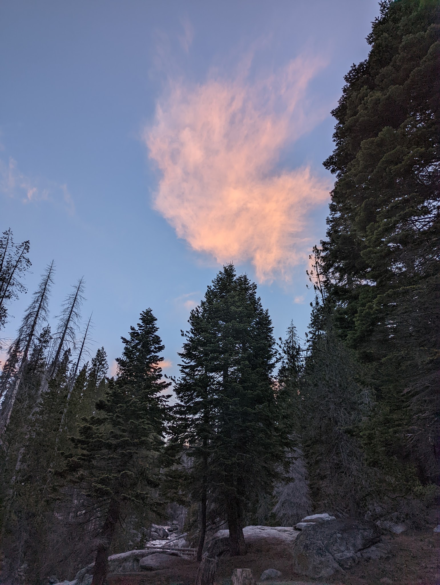 Buck Meadow Campground