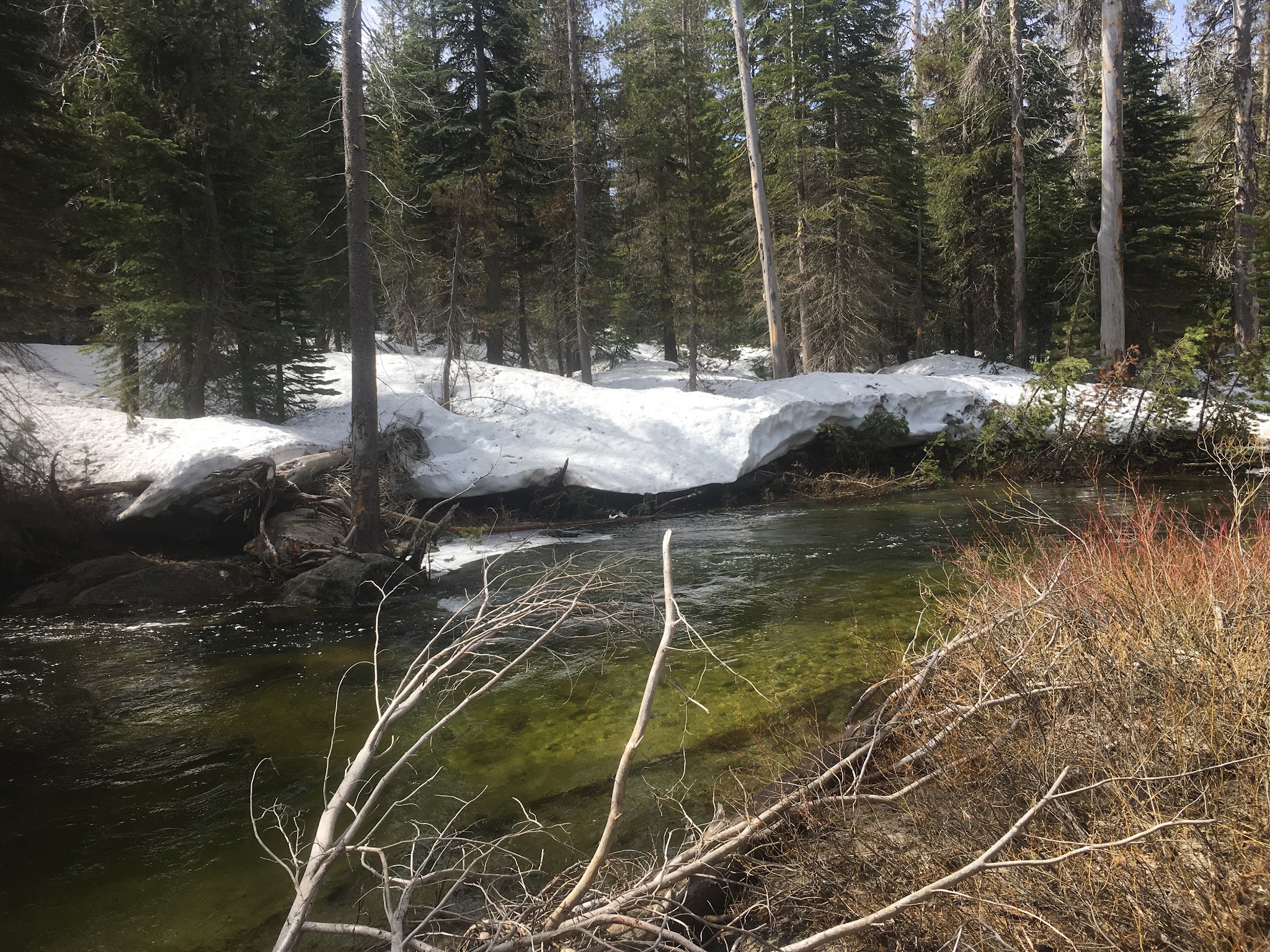 Buck Meadow Campground