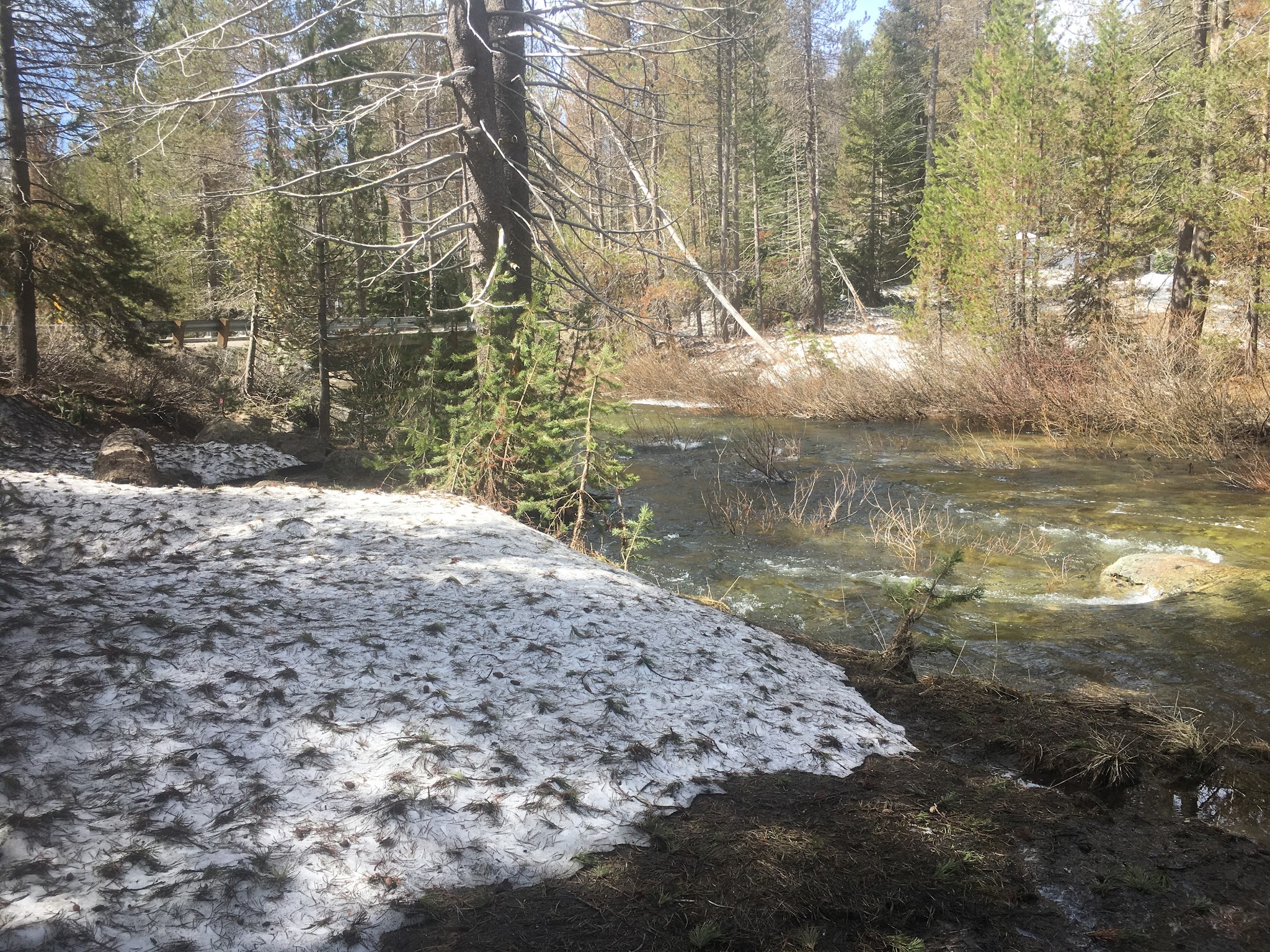 Buck Meadow Campground
