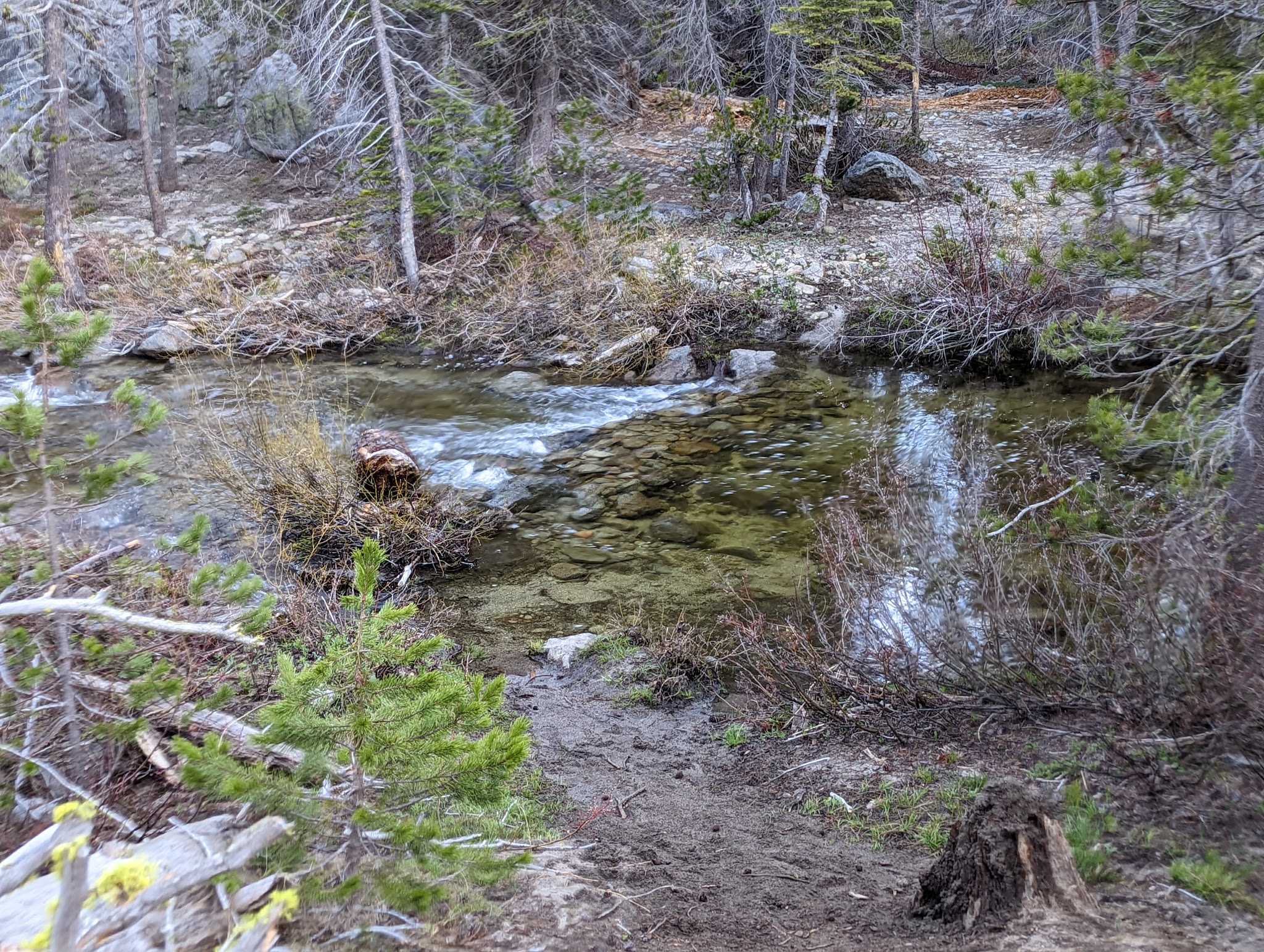 Buck Meadow Campground