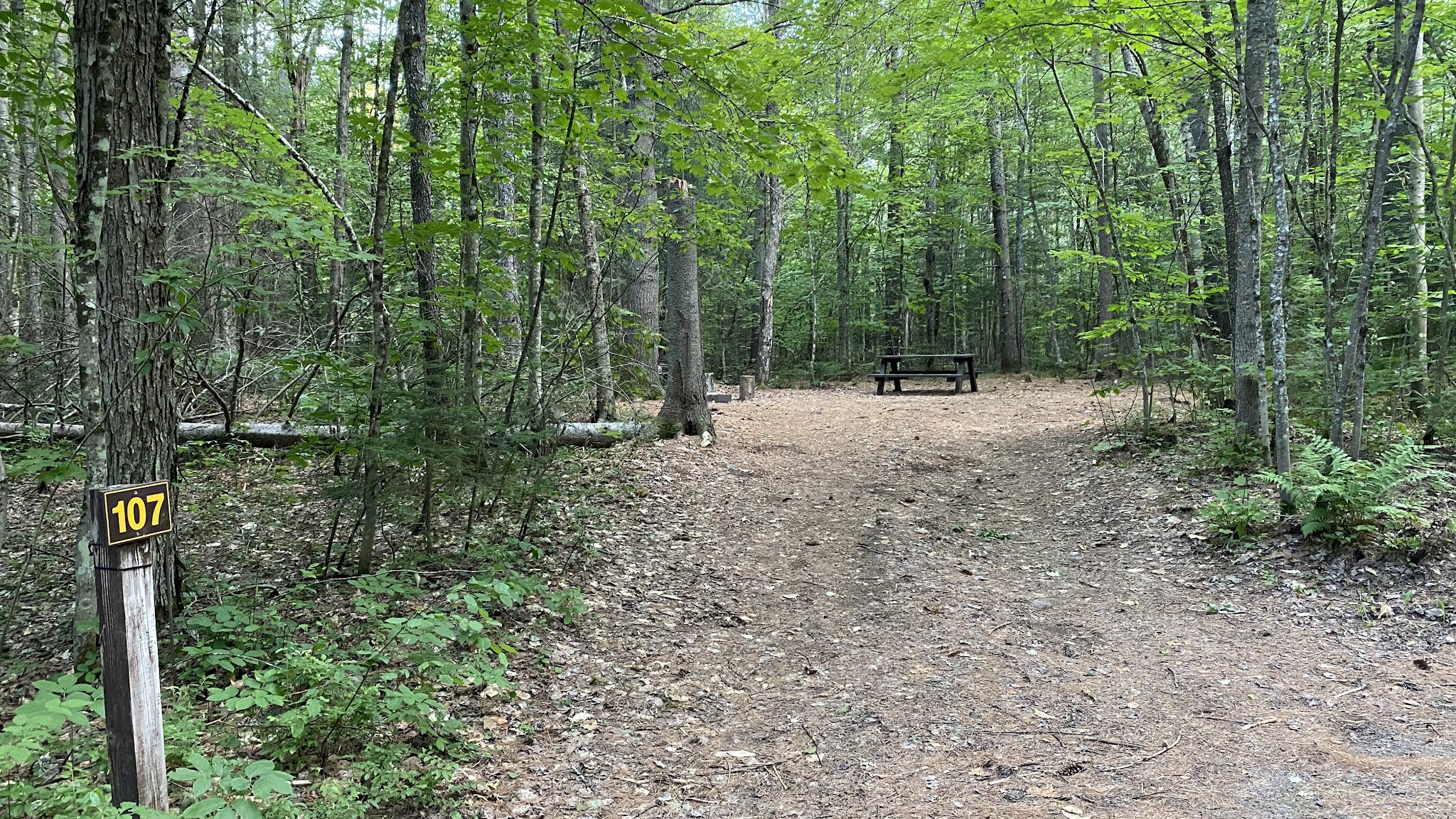 Buck Pond Campground