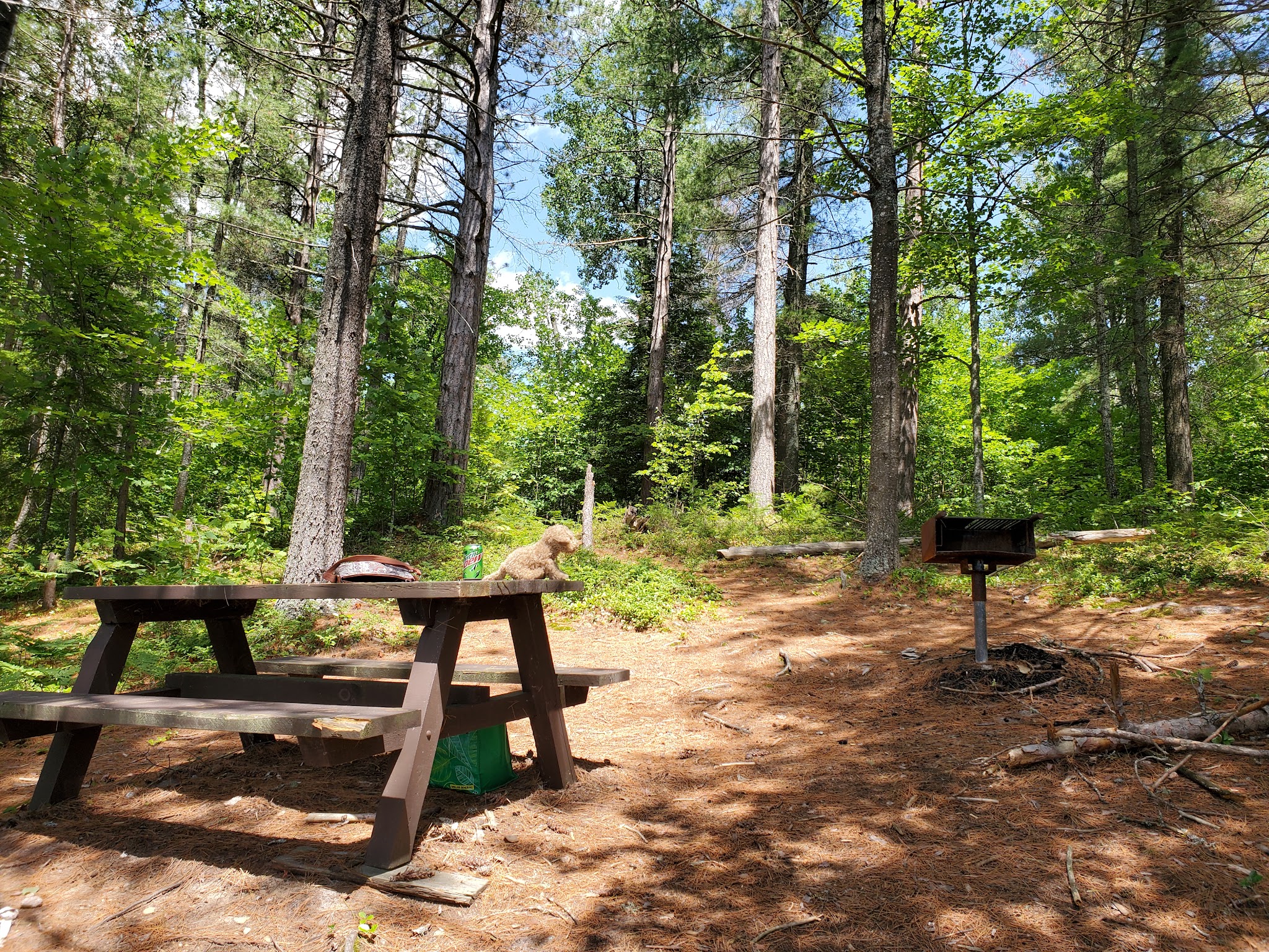 Buck Pond Campground