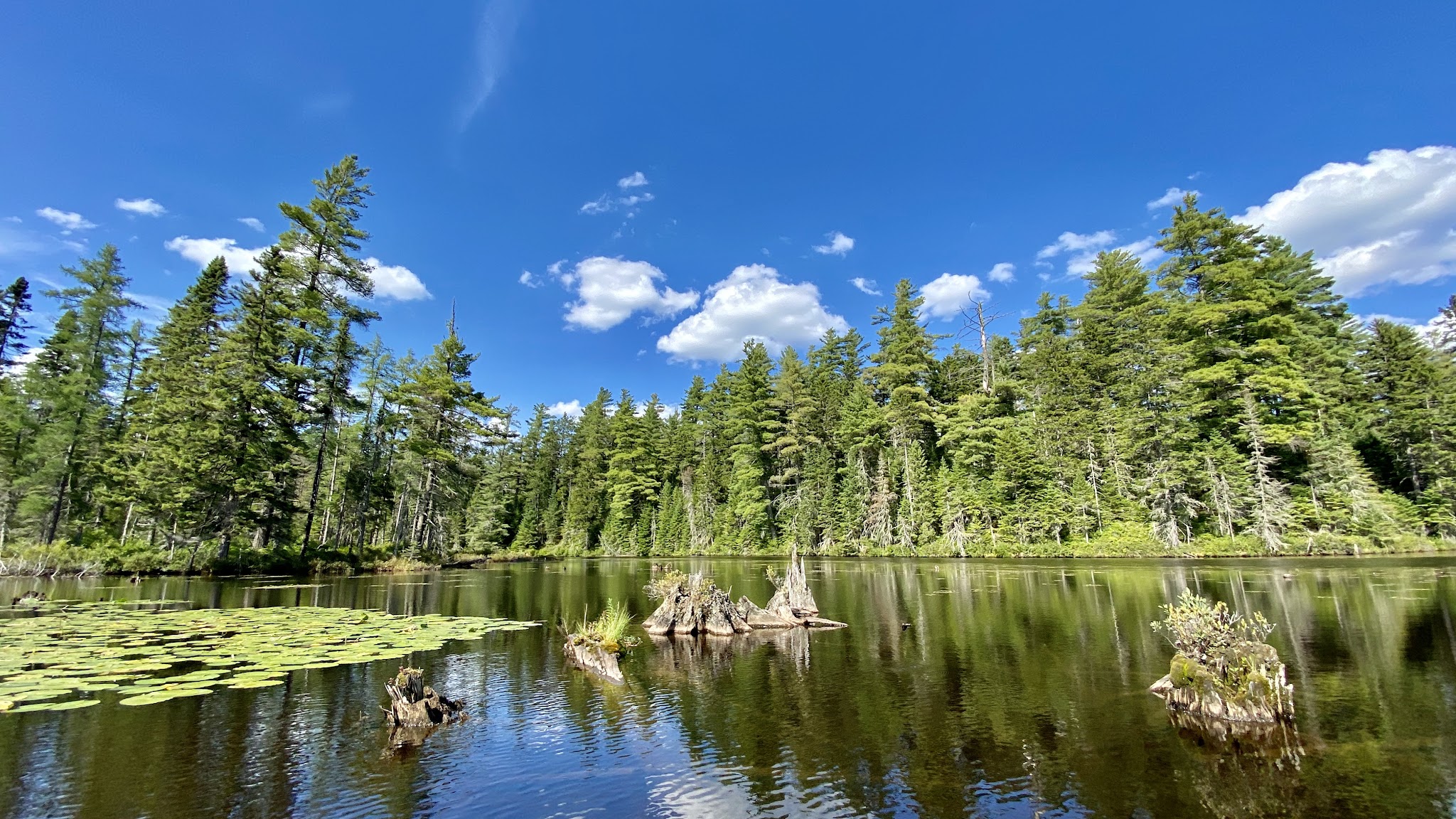 Buck Pond Campground