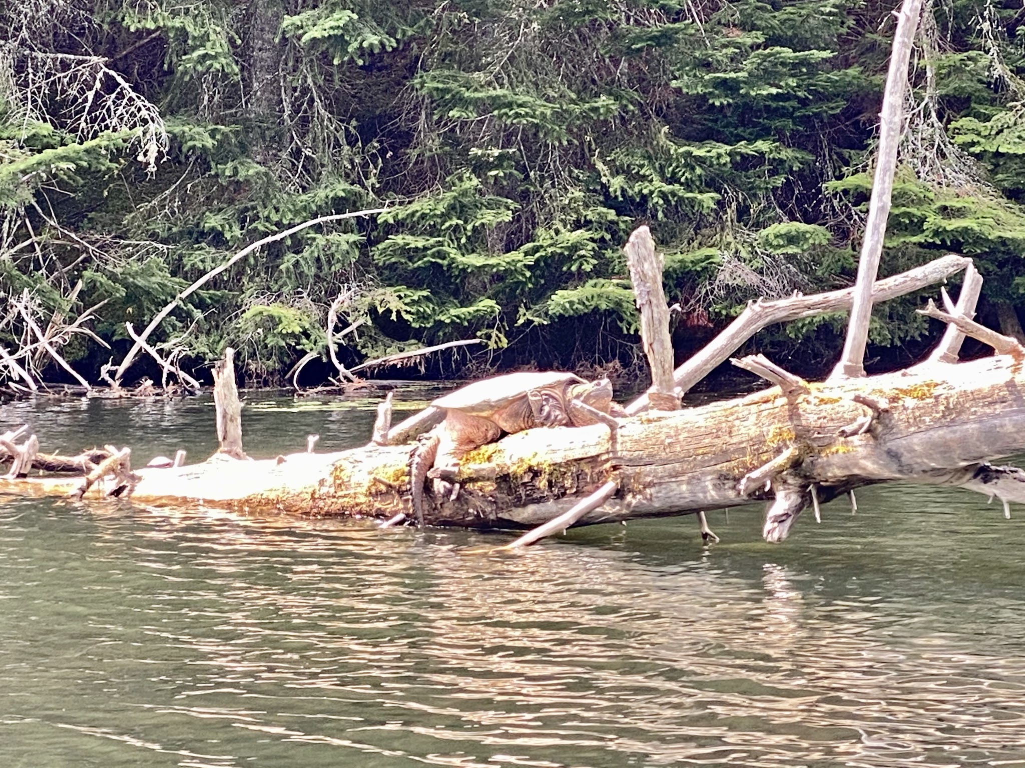 Buck Pond Campground