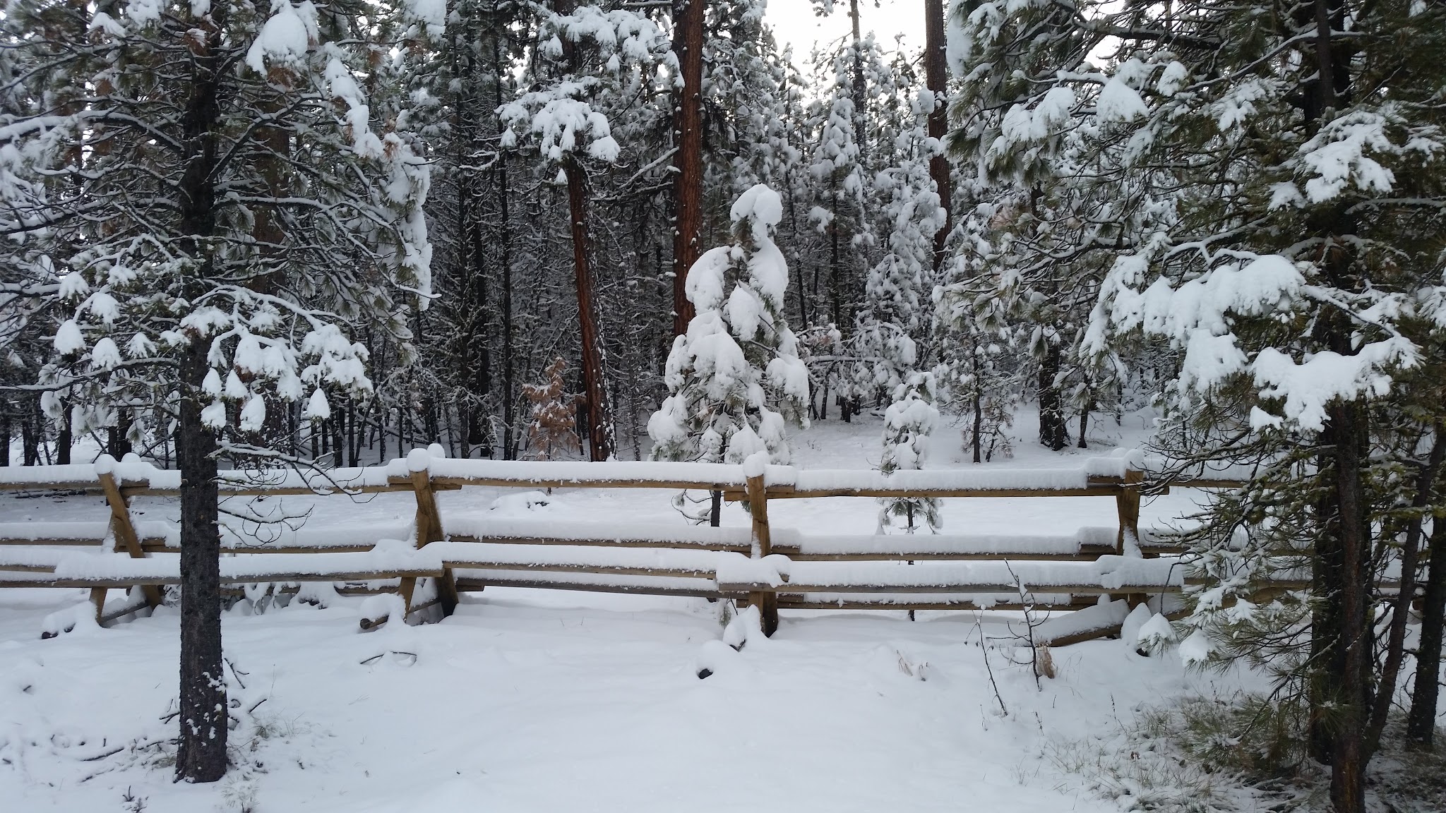 Buck Spring Campground