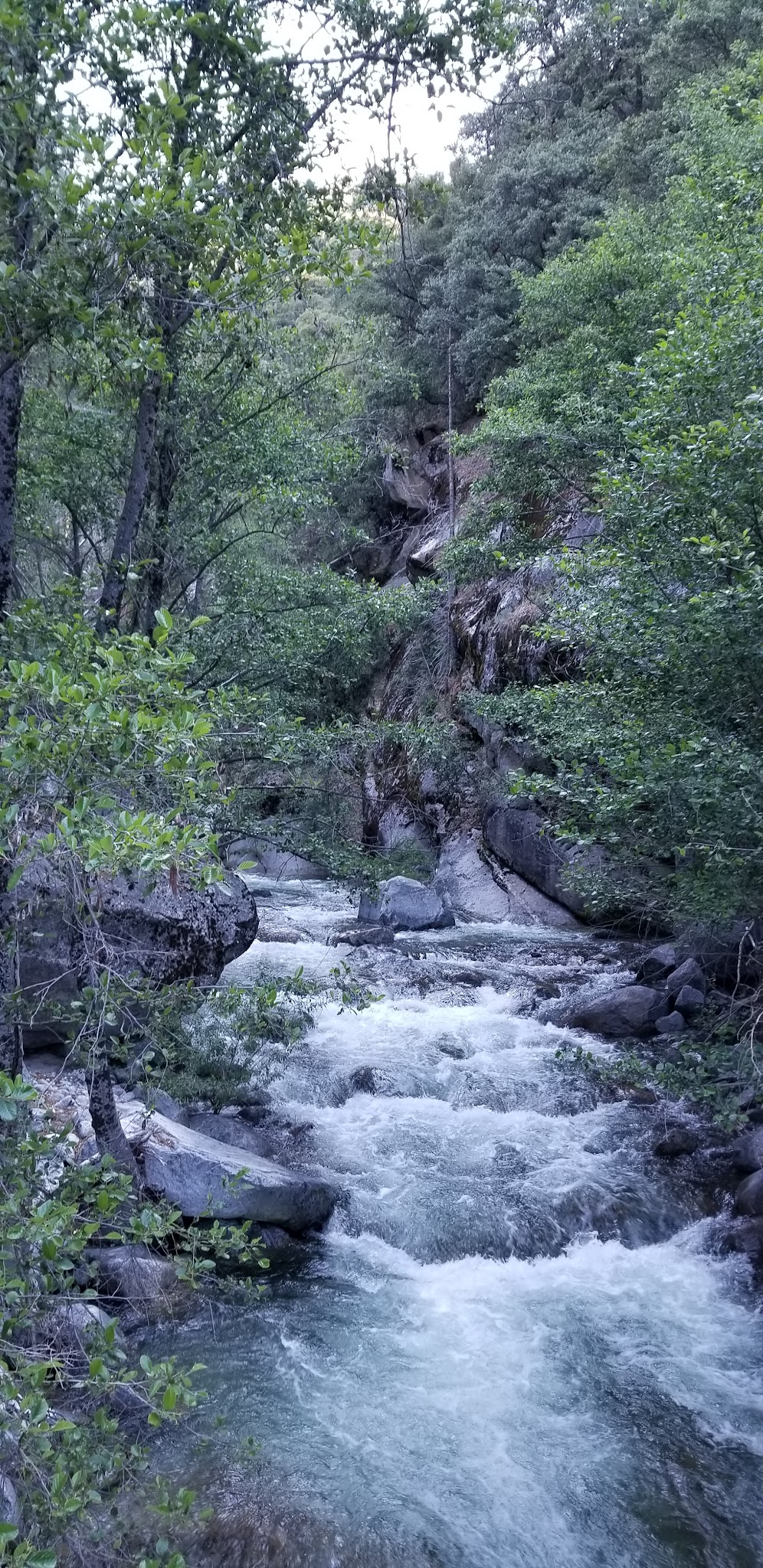 Buckeye Flat Campground
