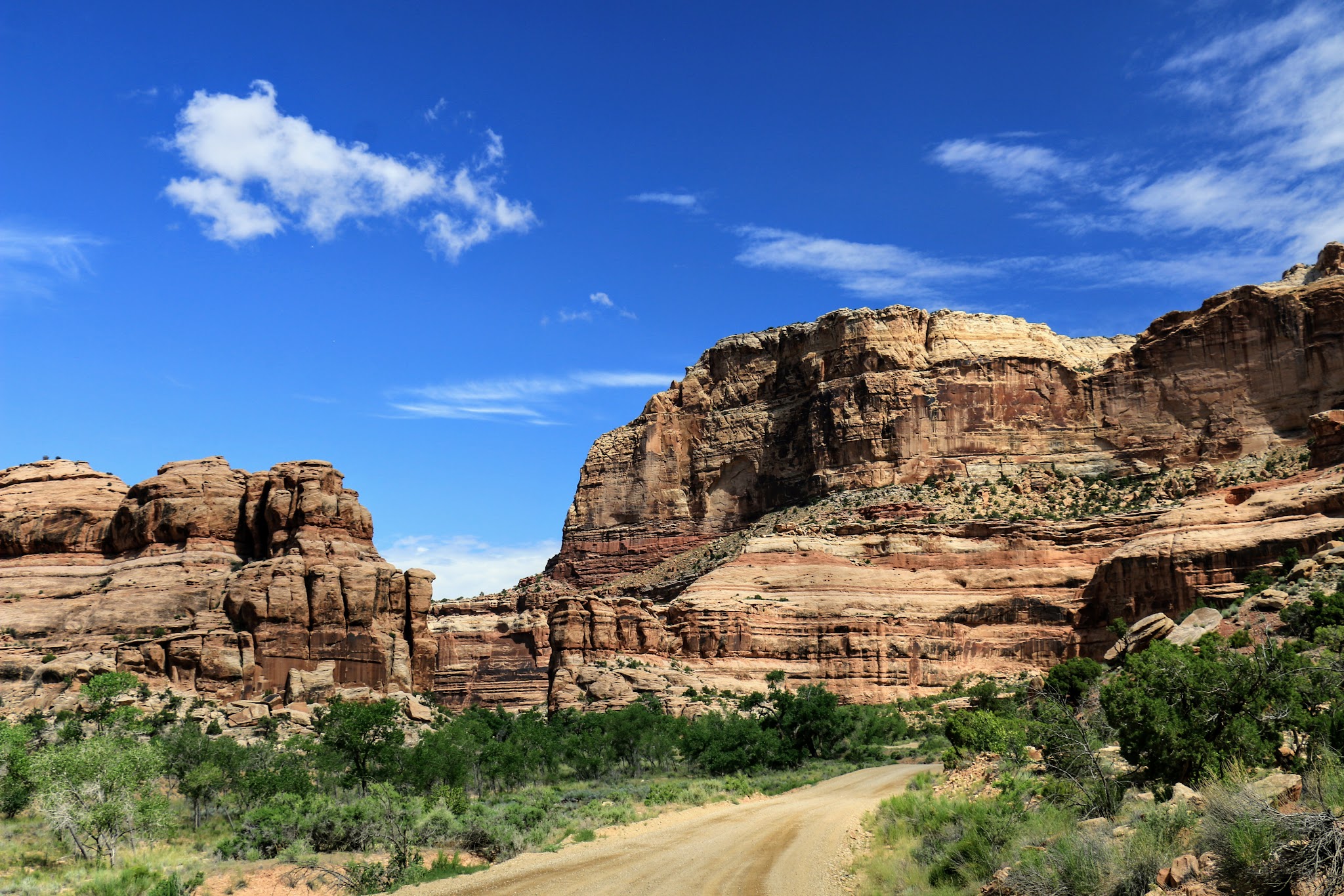 Buckhorn Dispersed Campground