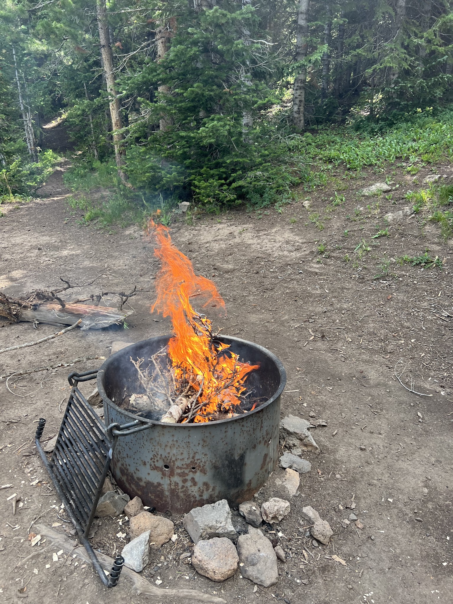 Trappers Lake / Bucks Campground