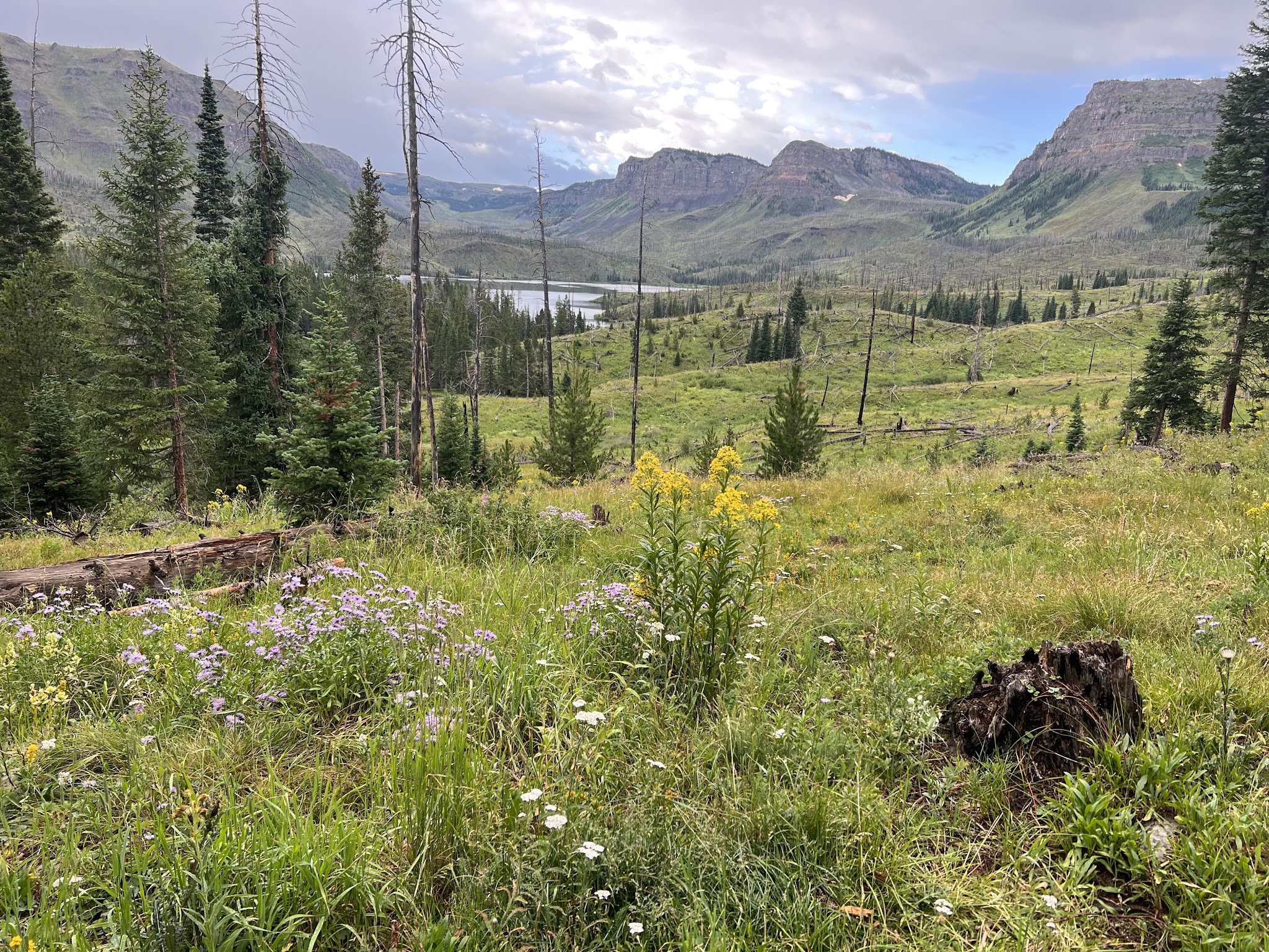 Trappers Lake / Bucks Campground